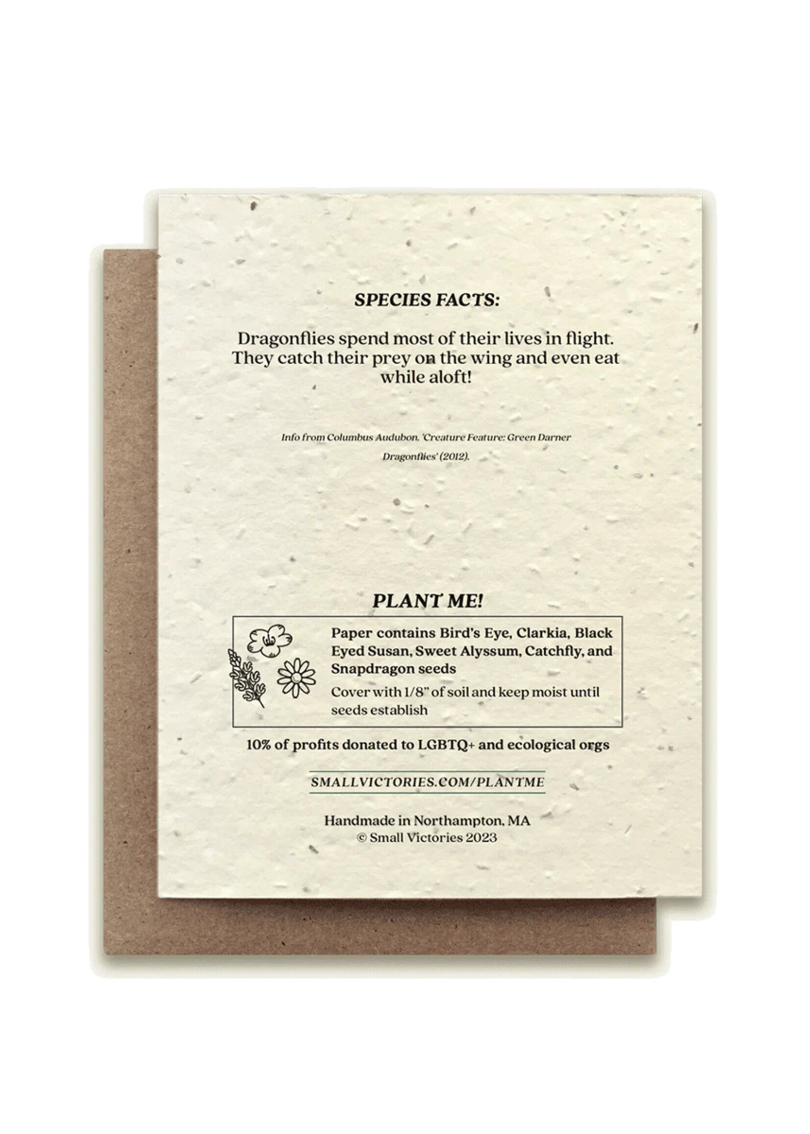 Small Victories Green Daner Dragonfly Plantable Card