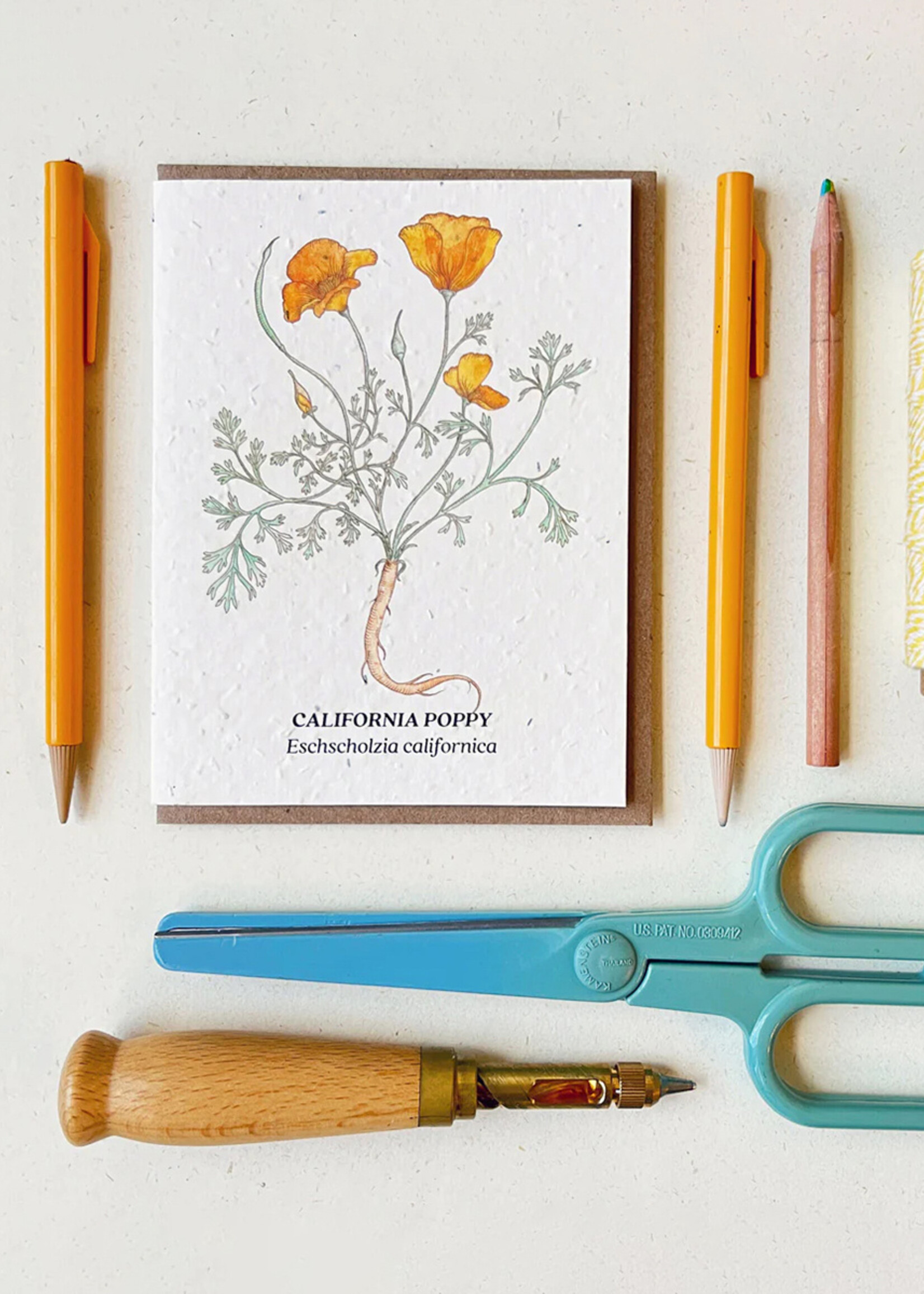 Small Victories California Poppy Plantable Card