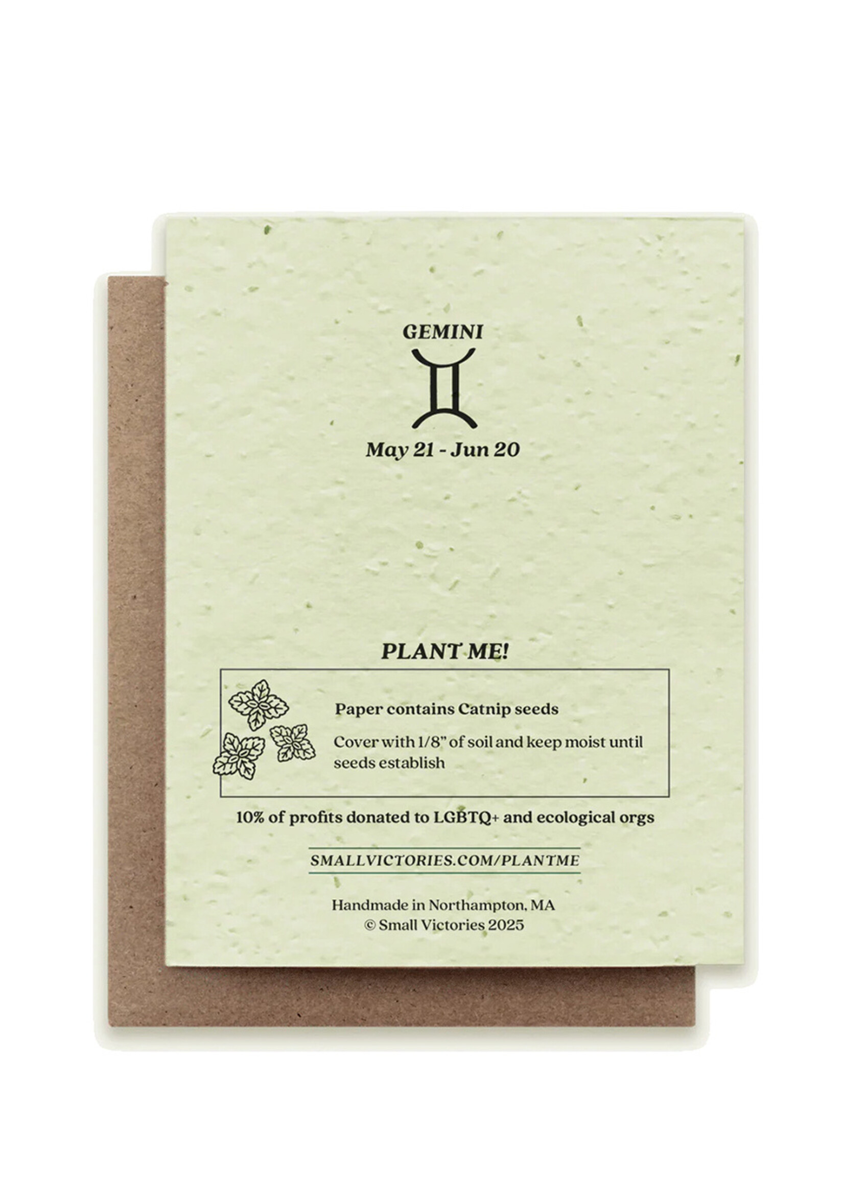 Small Victories Cat Zodiac Gemini Plantable Card