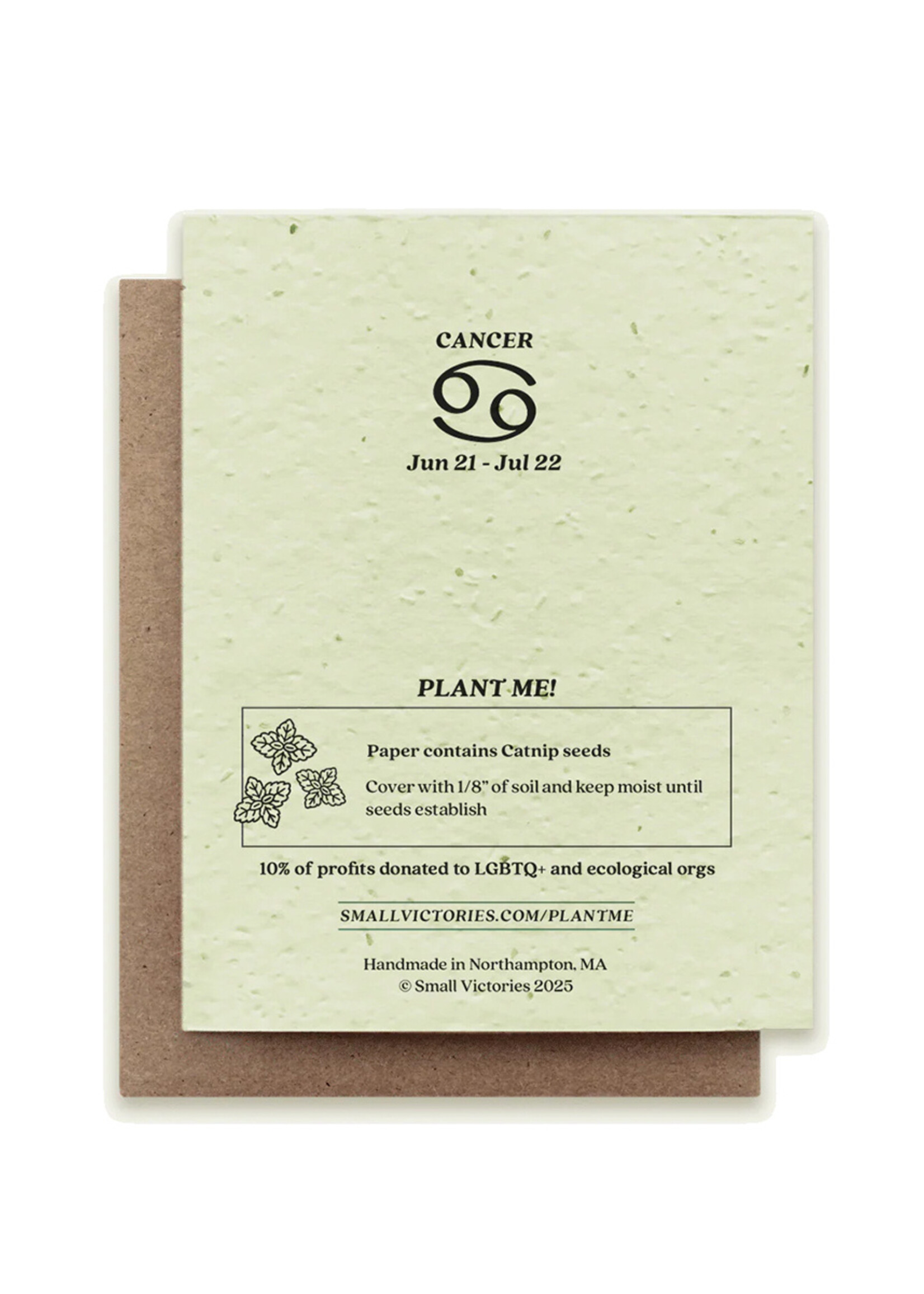 Small Victories Cat Zodiac Cancer Plantable Card