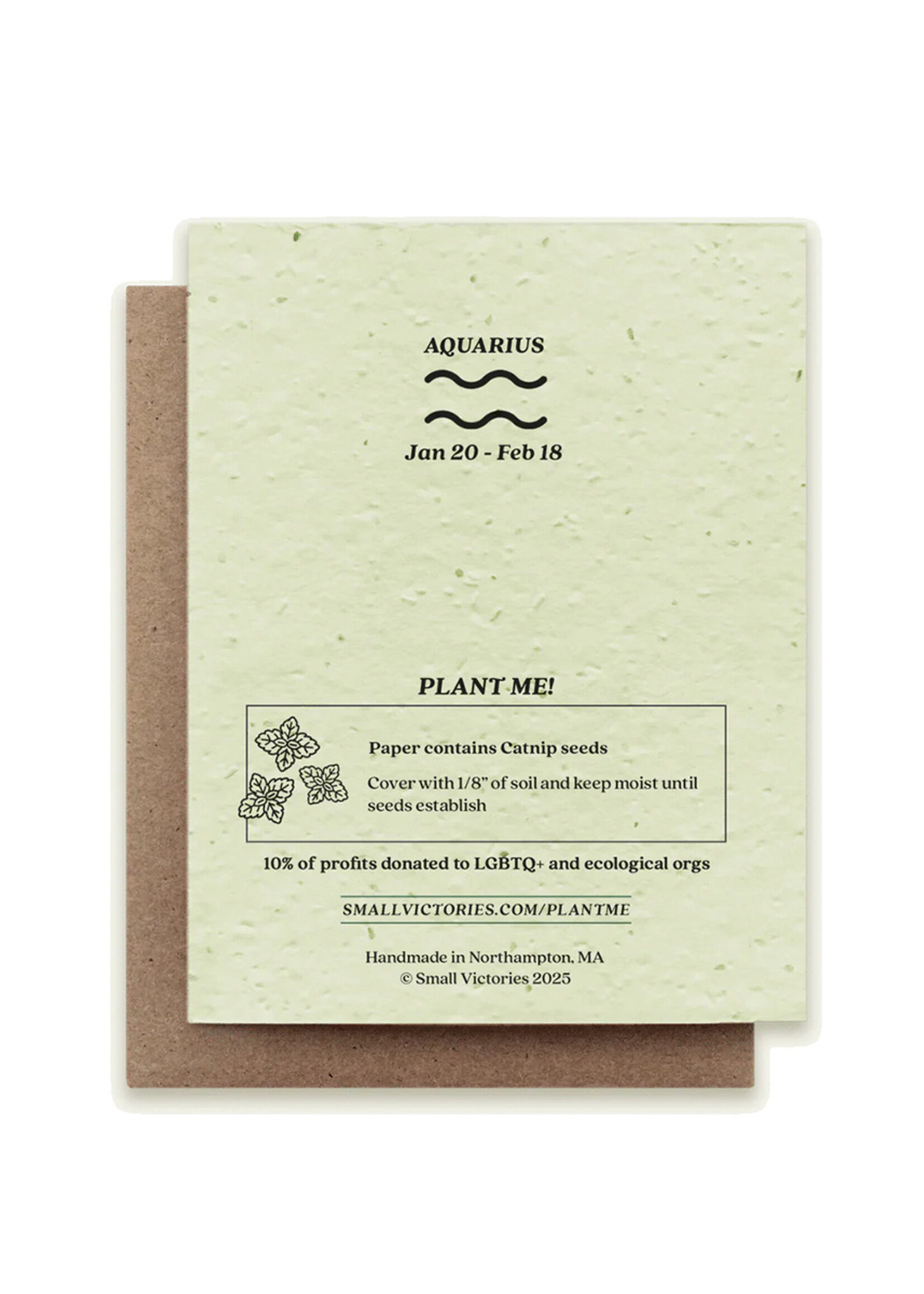 Small Victories Cat Zodiac Aquarius Plantable Card