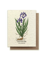 Small Victories Blue Flag Iris Plantable Card