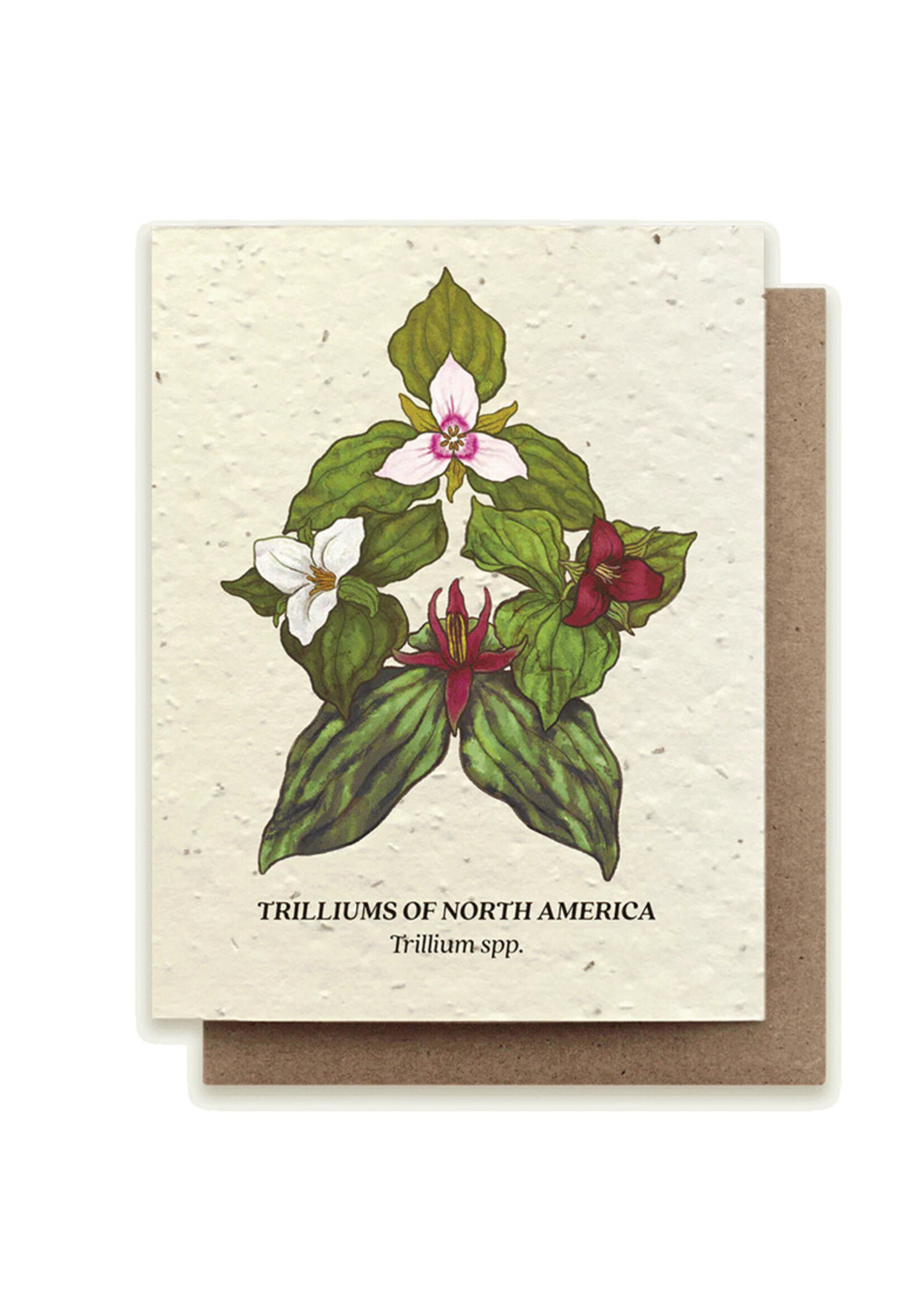 Small Victories Trillium Compass Flower Plantable Card