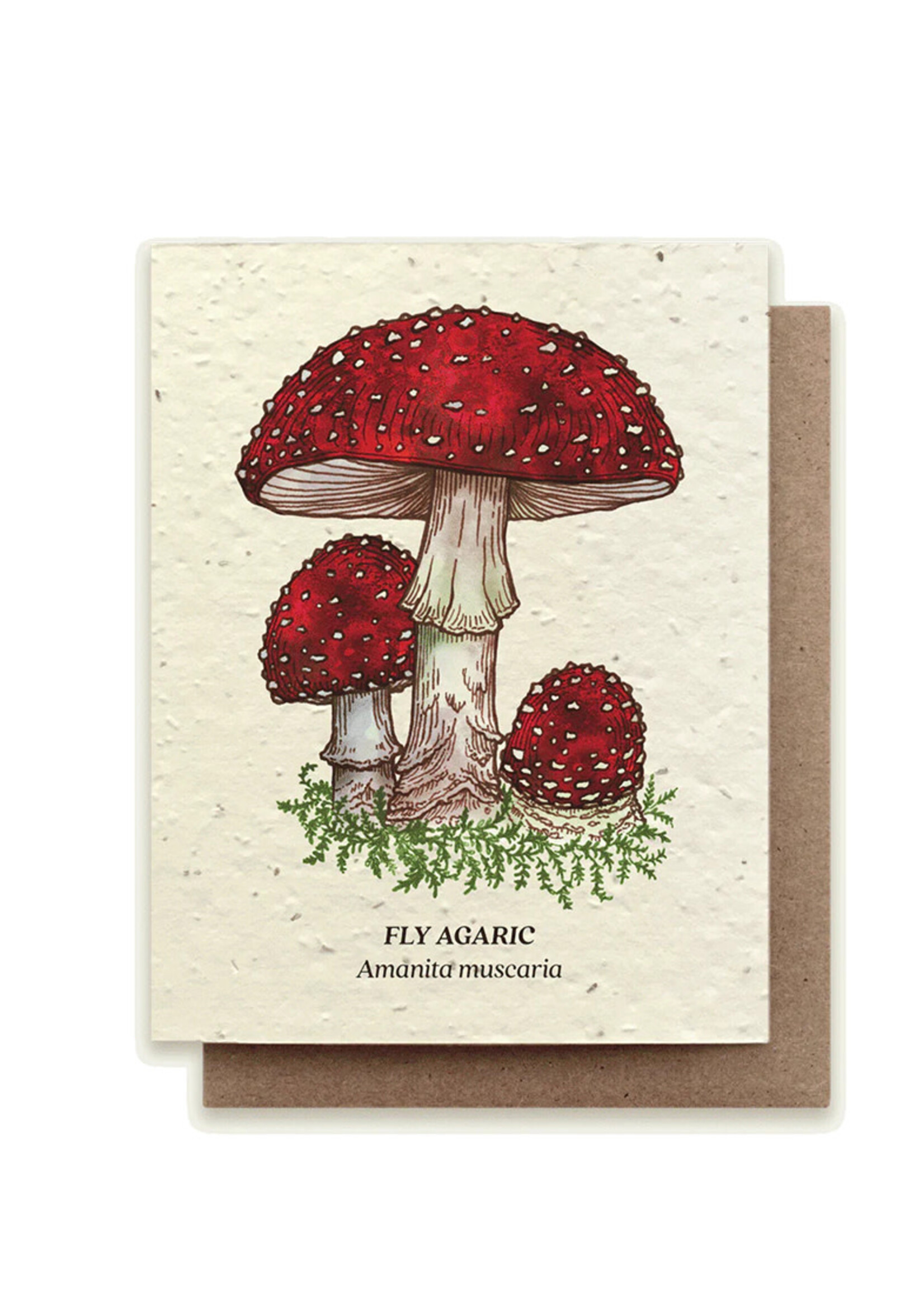 Small Victories Fly Agaric Mushroom Plantable Card