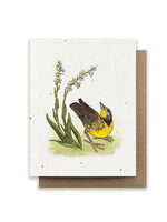 Small Victories Meadowlark & Prairie Orchid Plantable Card