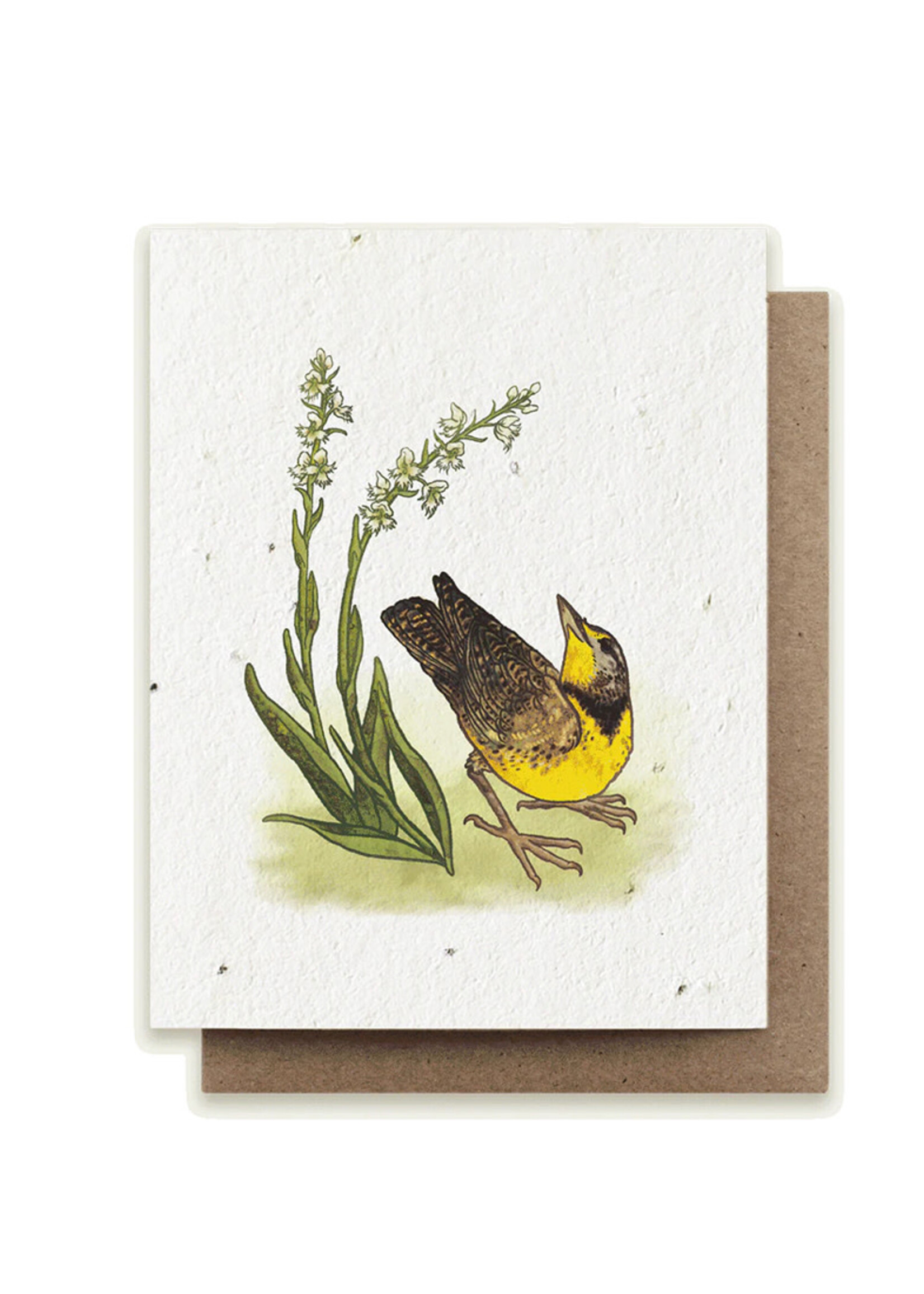 Small Victories Meadowlark & Prairie Orchid Plantable Card