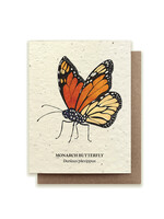 Small Victories Monarch Butterfly Plantable Card