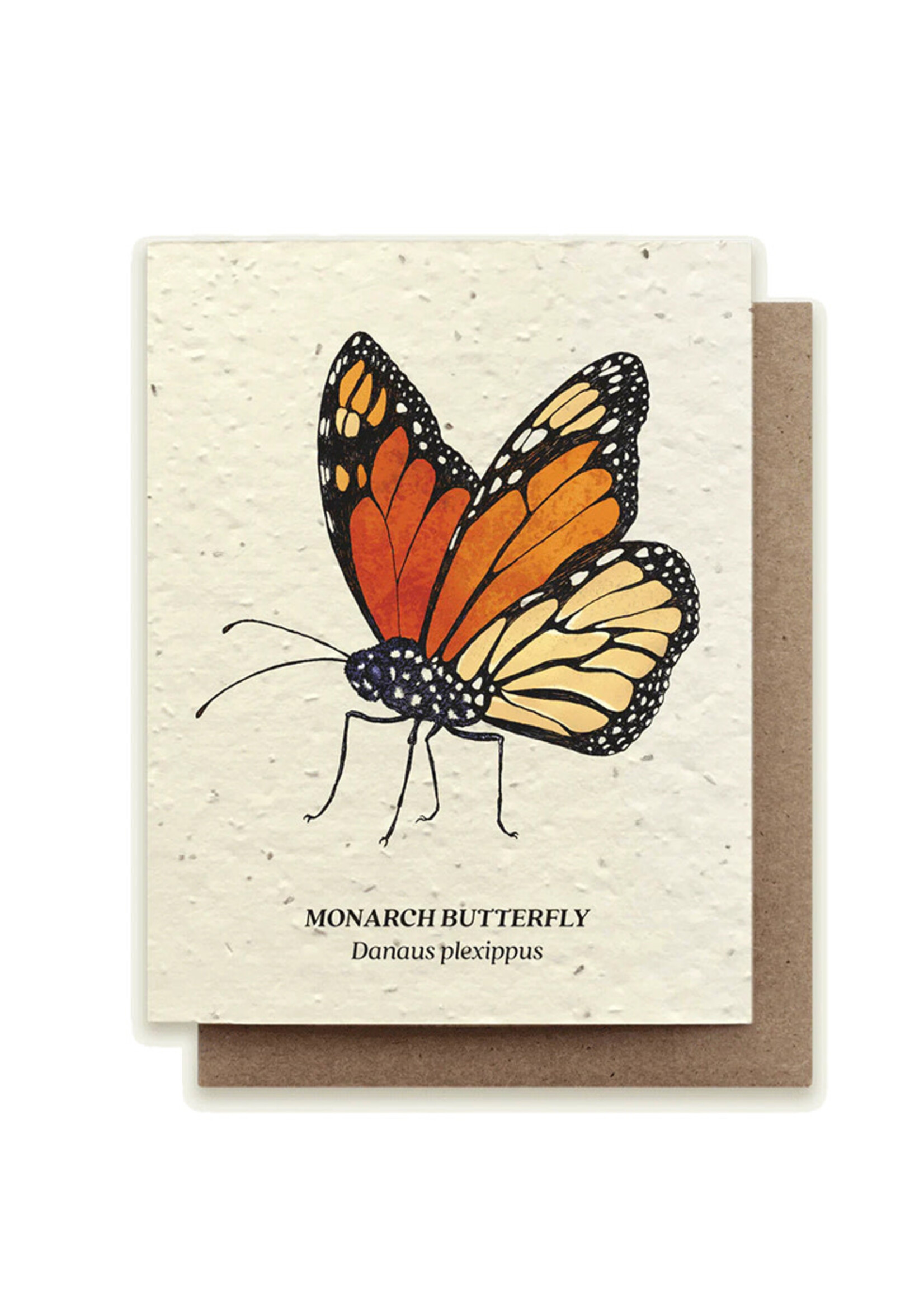 Small Victories Monarch Butterfly Plantable Card