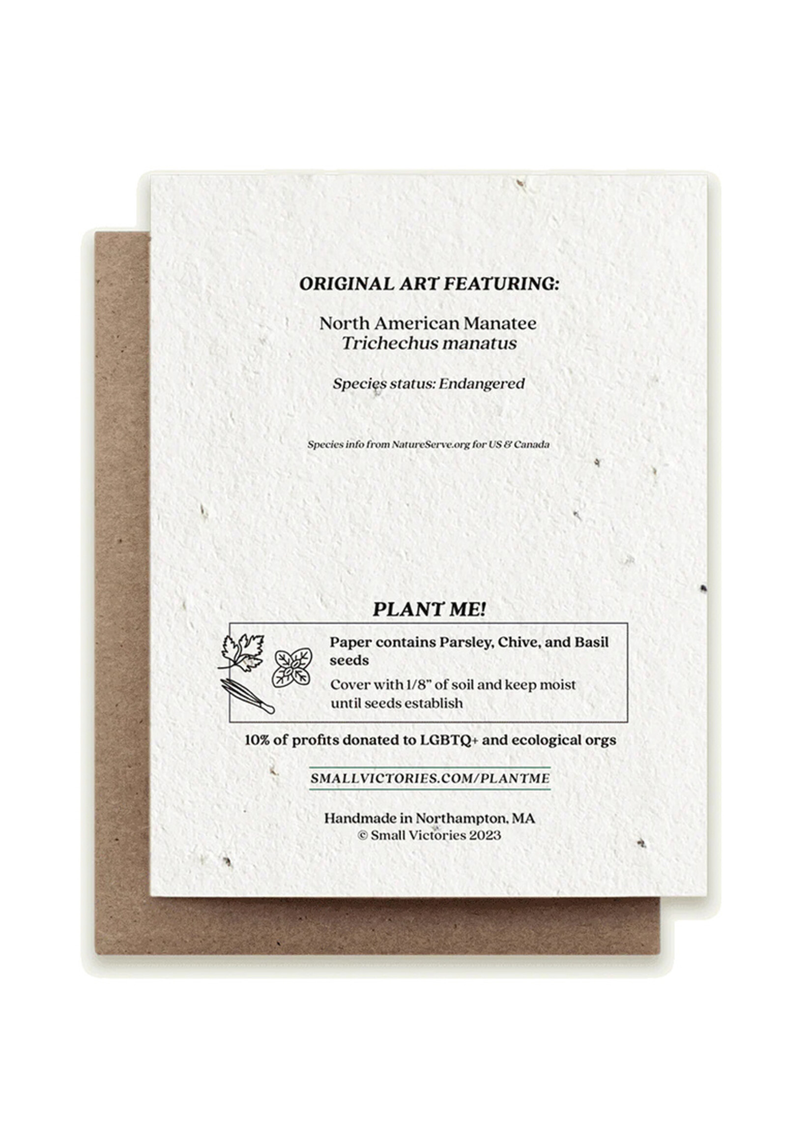 Small Victories Manatee Mother Plantable Card