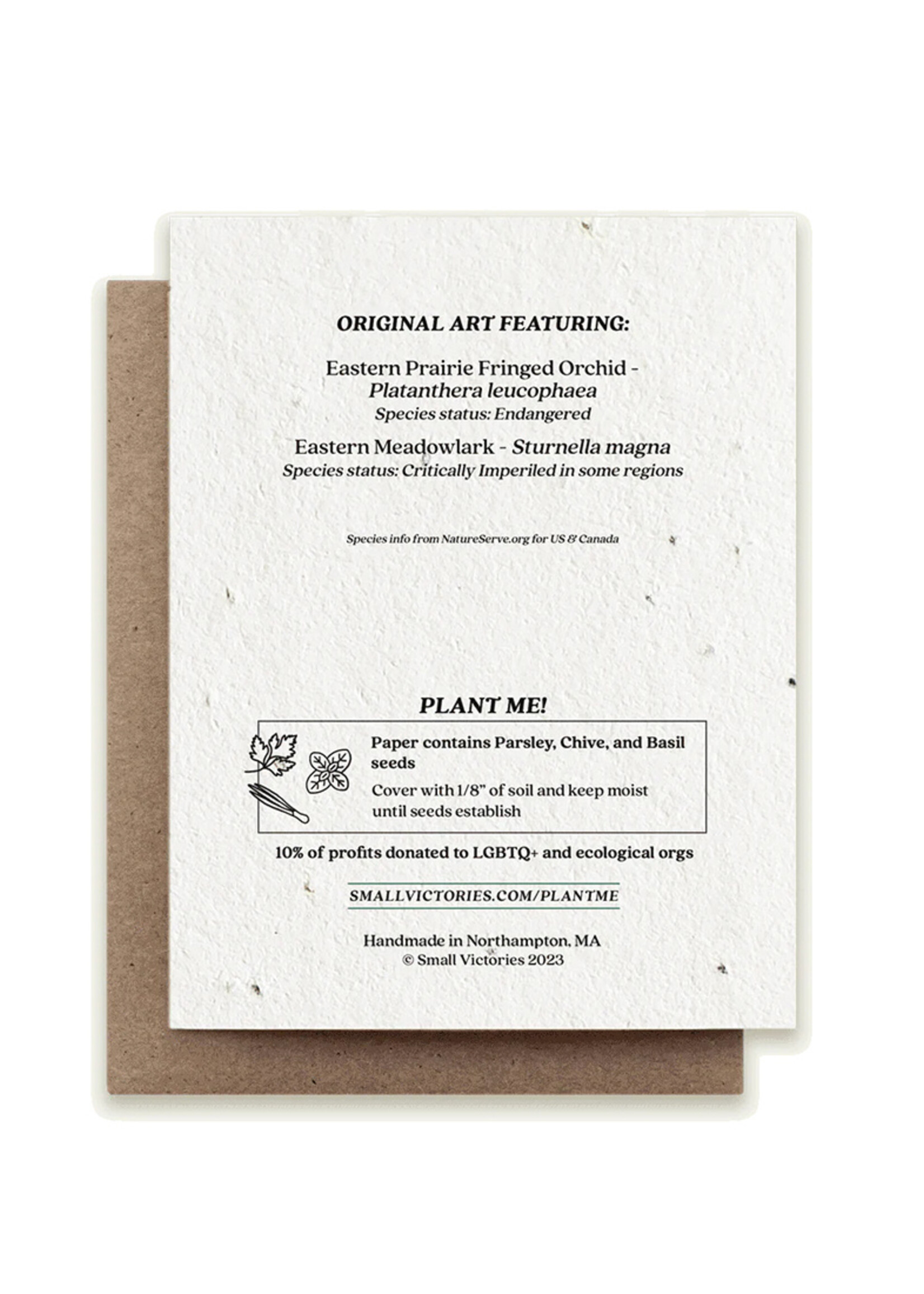 Small Victories Meadowlark & Prairie Orchid Plantable Card