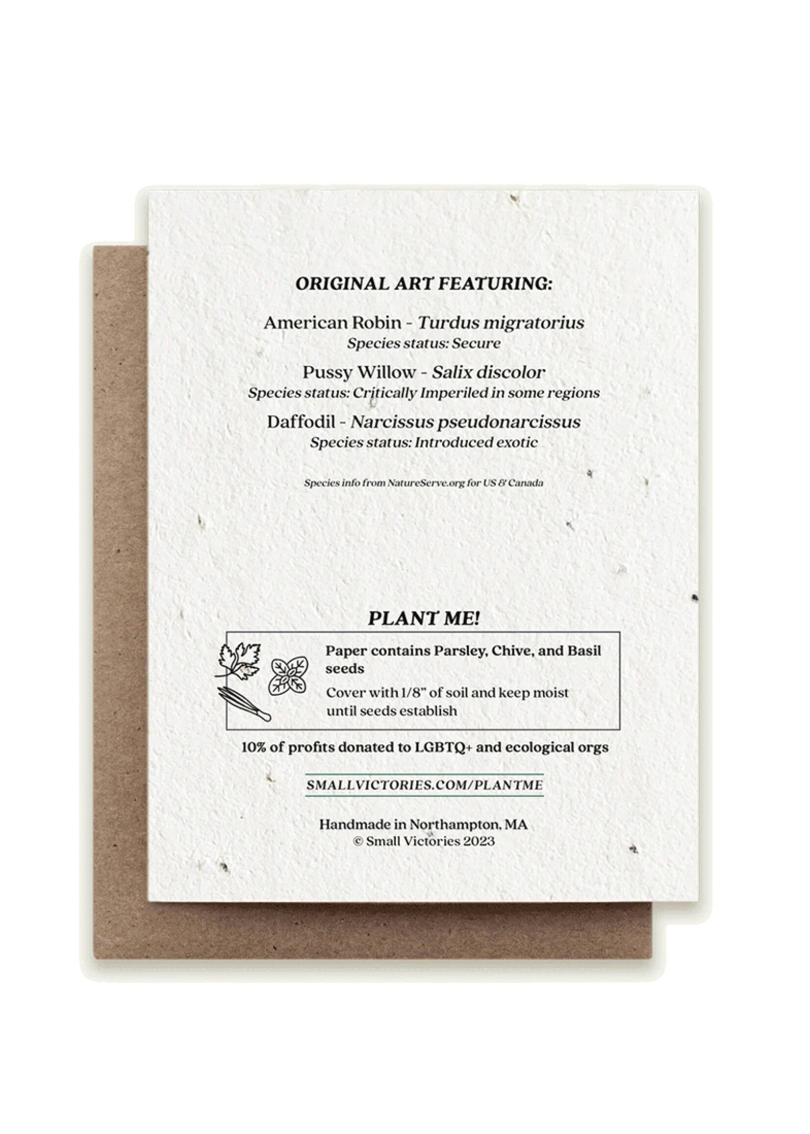 Small Victories Spring Robin Plantable Card