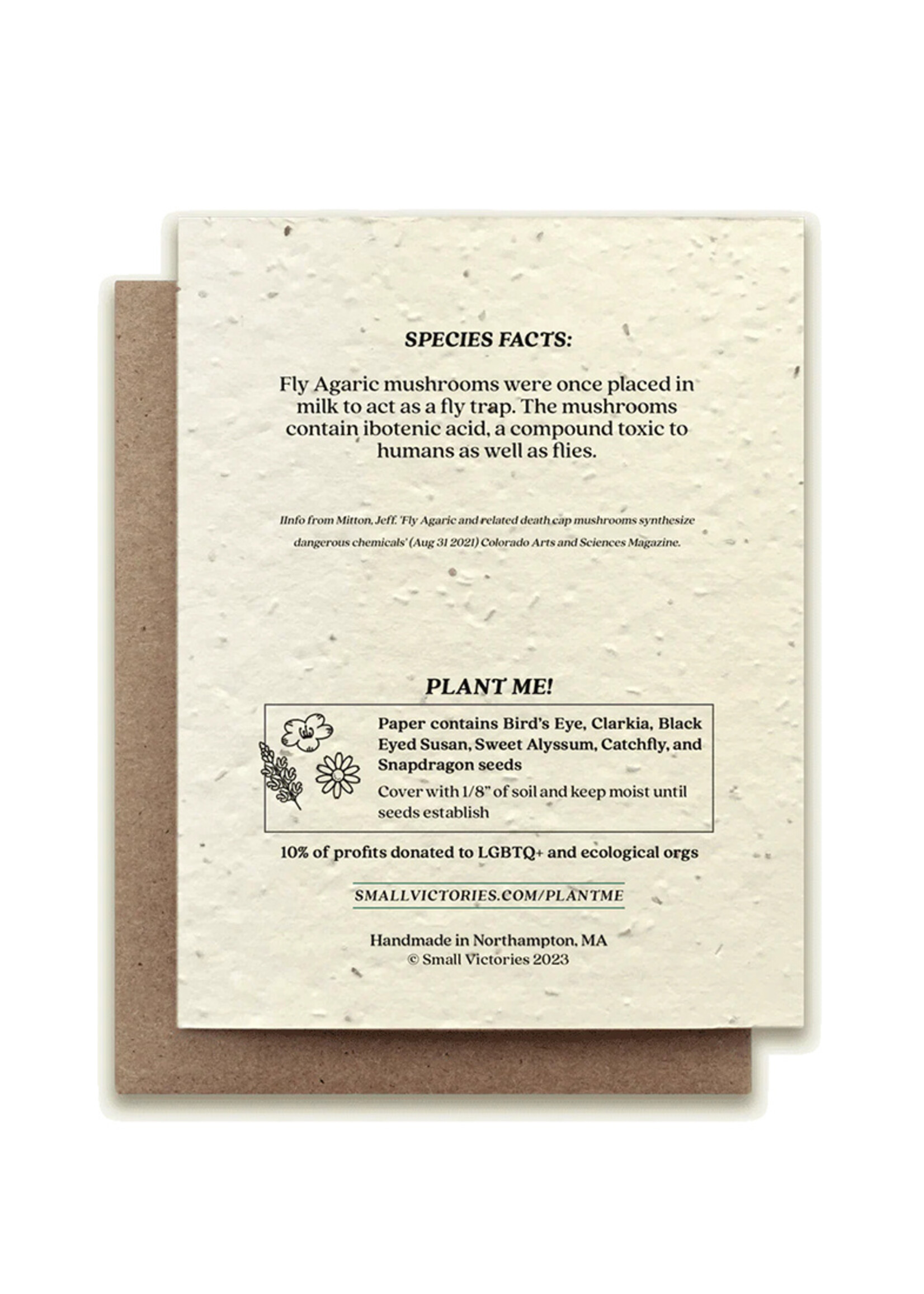 Small Victories Fly Agaric Mushroom Plantable Card