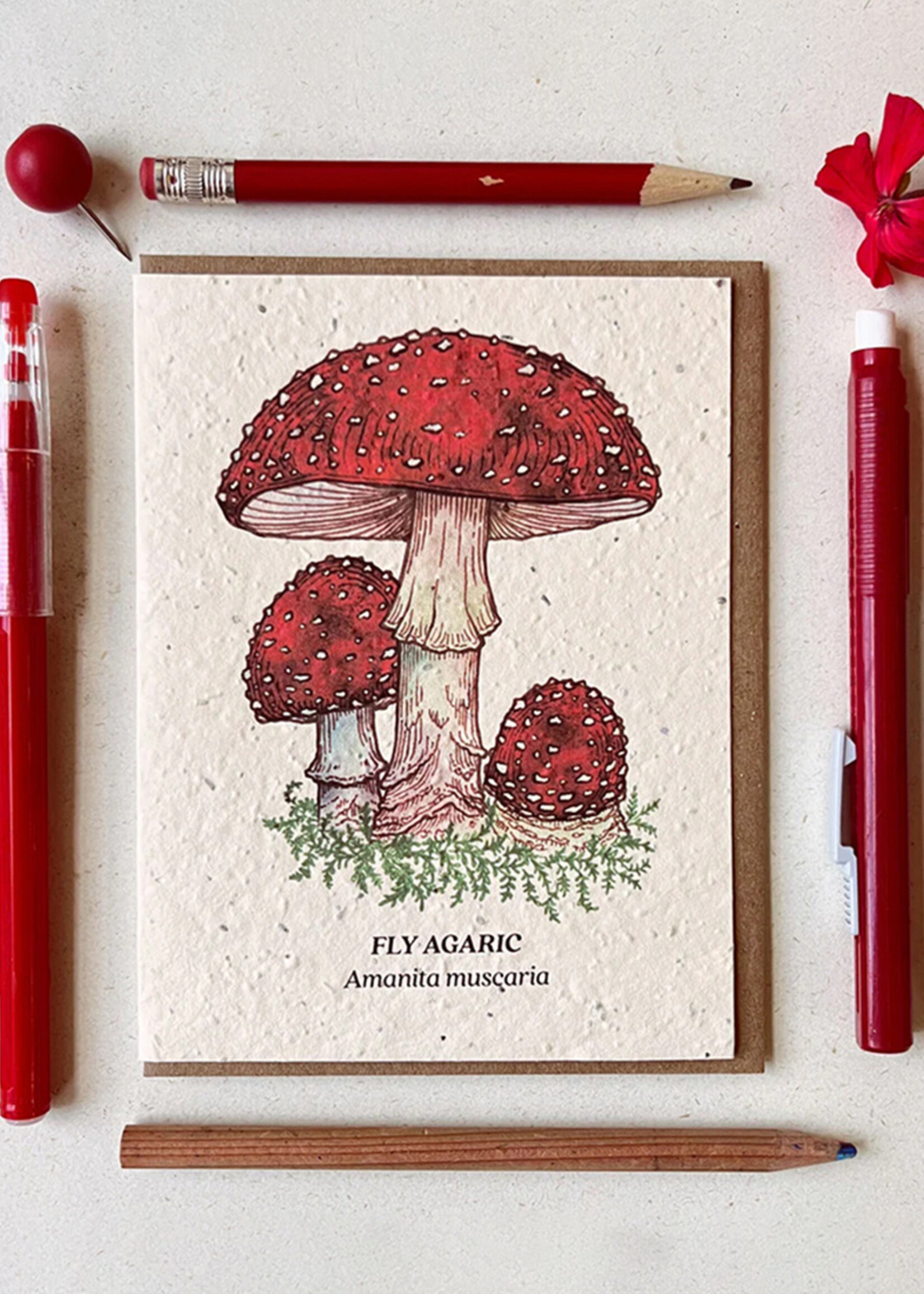Small Victories Fly Agaric Mushroom Plantable Card