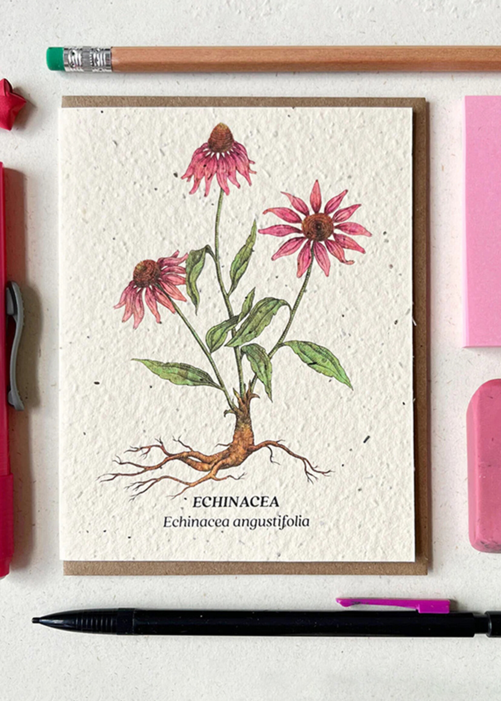 Small Victories Echinacea Flower Plantable Card