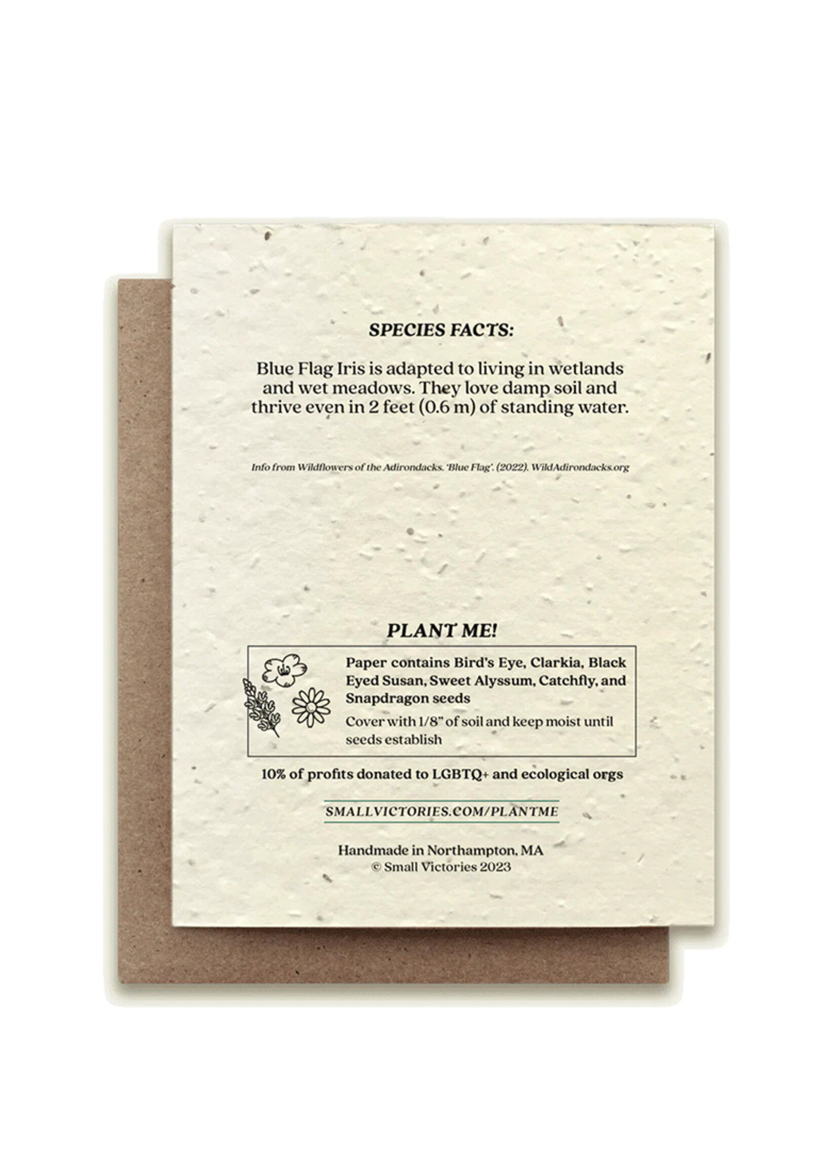 Small Victories Blue Flag Iris Plantable Card