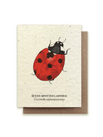 Small Victories Seven-Spotted Ladybug Plantable Card