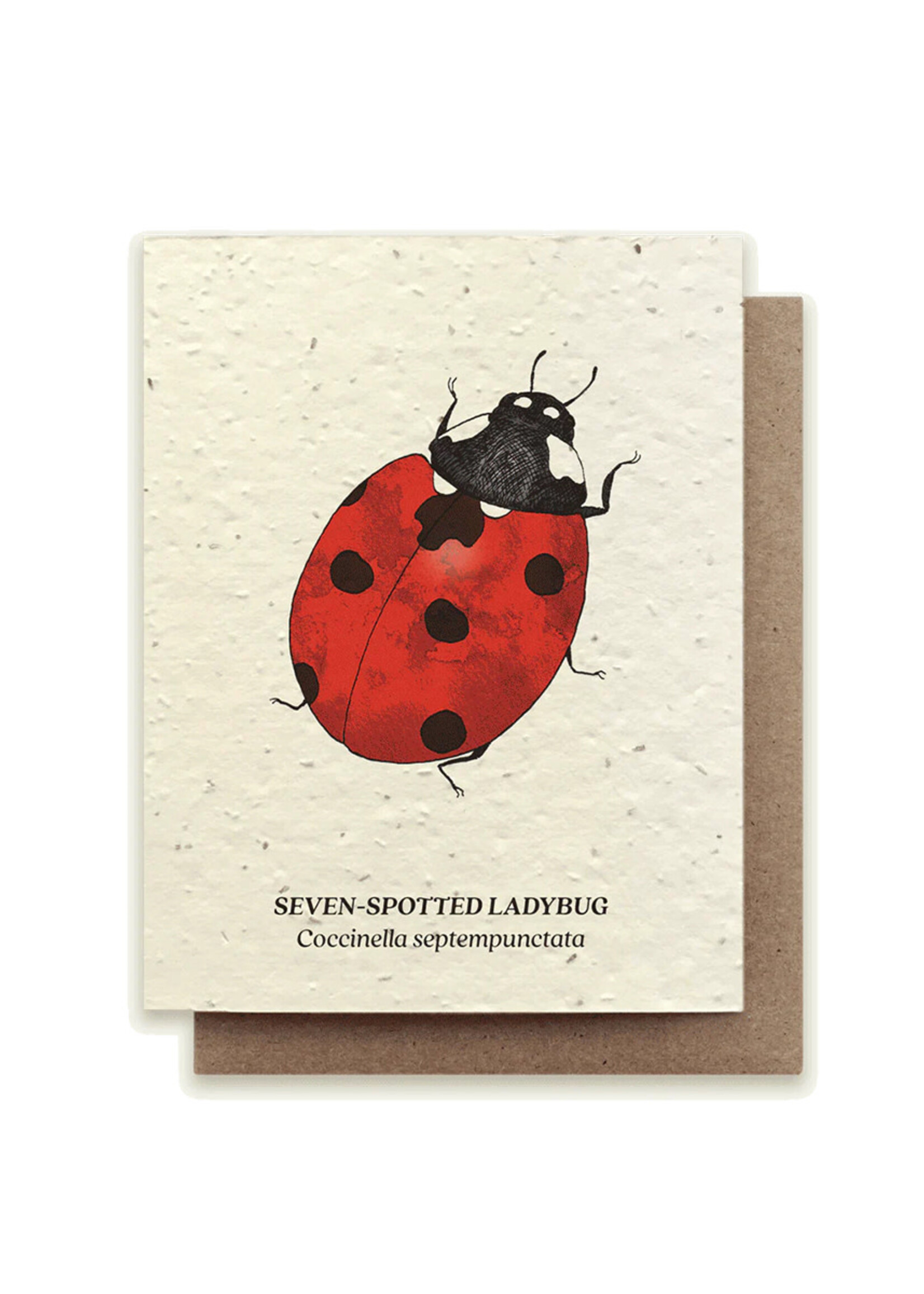 Small Victories Seven-Spotted Ladybug Plantable Card