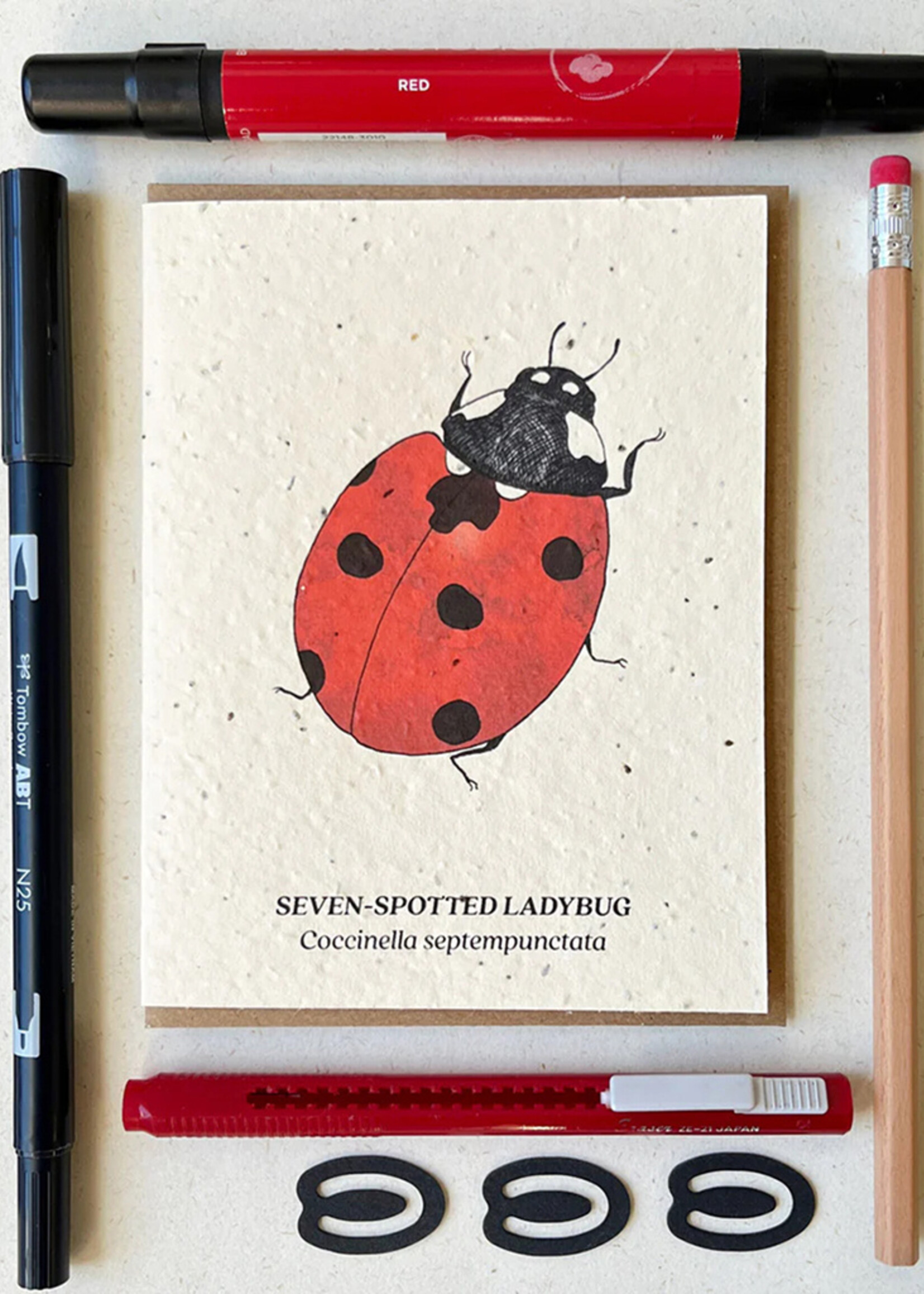 Small Victories Seven-Spotted Ladybug Plantable Card