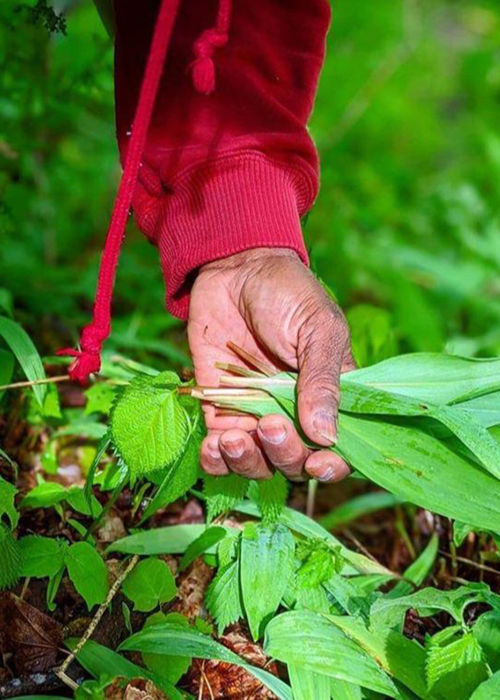 Burlap & Barrel Wild Ramps Spice
