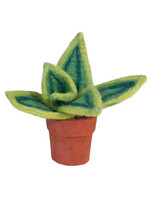 dZi Potted Felt Lemon Snake Plant