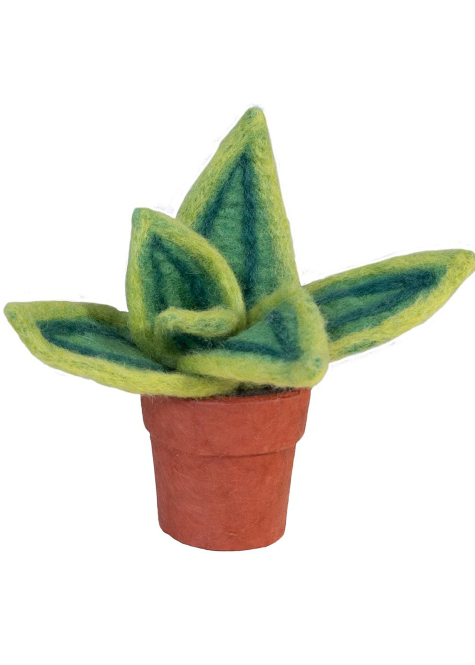 dZi Potted Felt Lemon Snake Plant