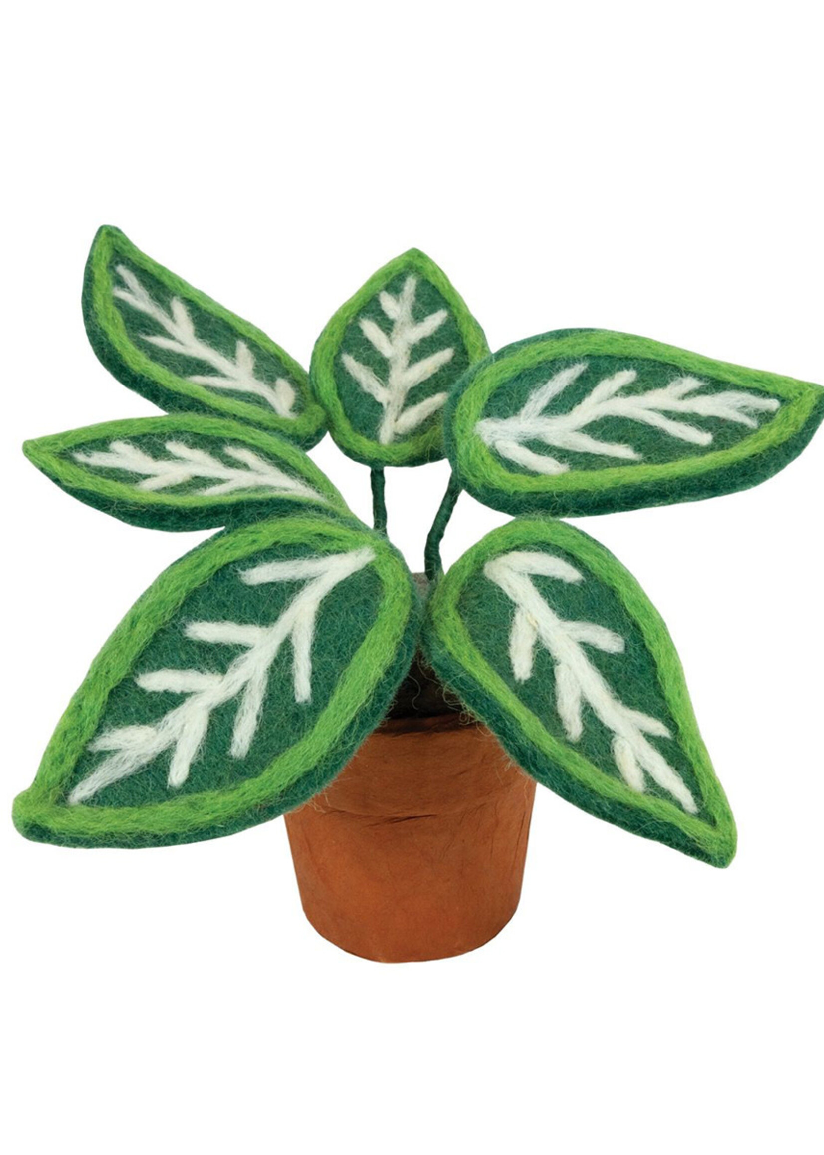 dZi Potted Felt Zebra Plant