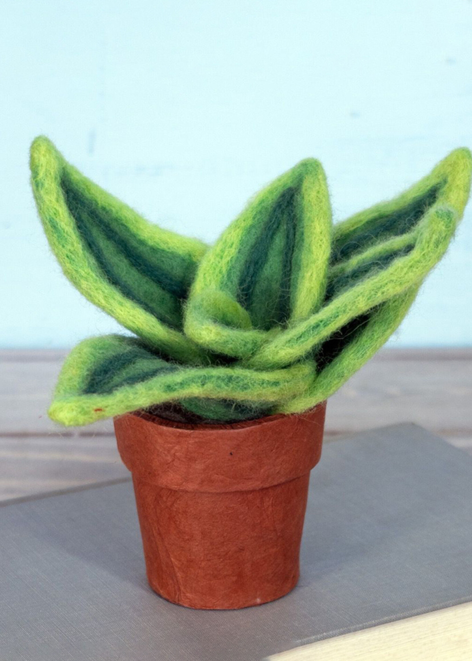 dZi Potted Felt Lemon Snake Plant