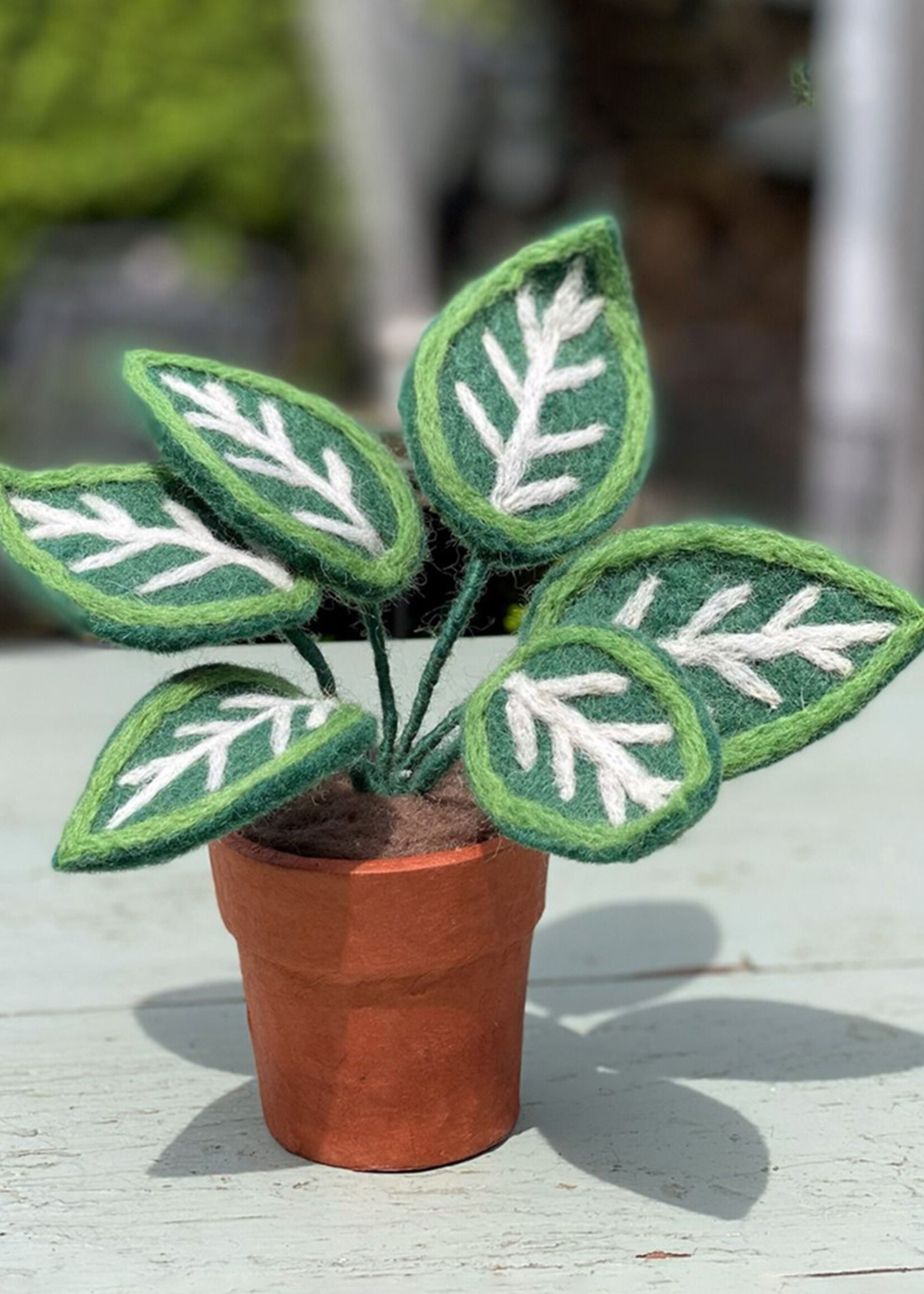 dZi Potted Felt Zebra Plant