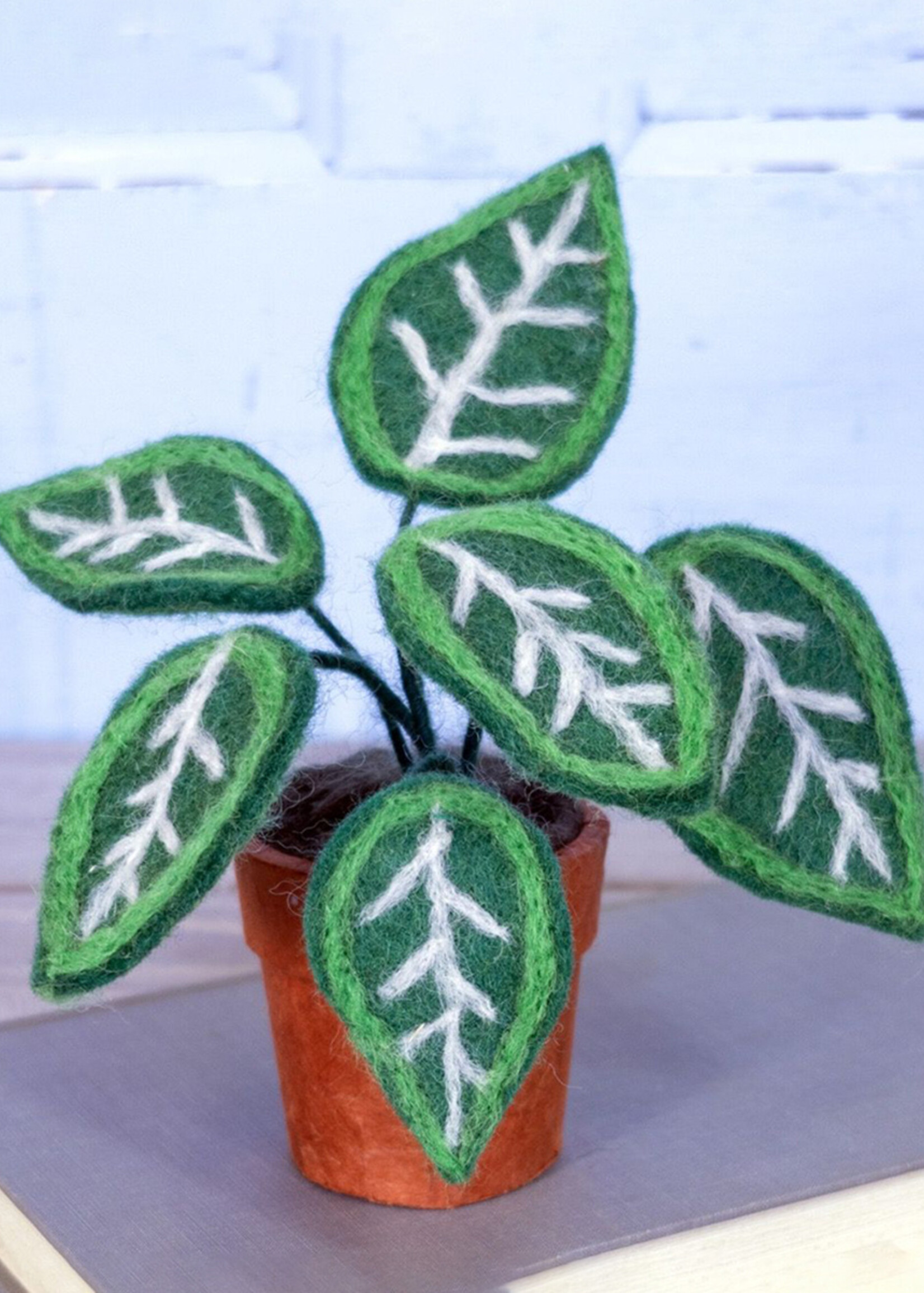 dZi Potted Felt Zebra Plant