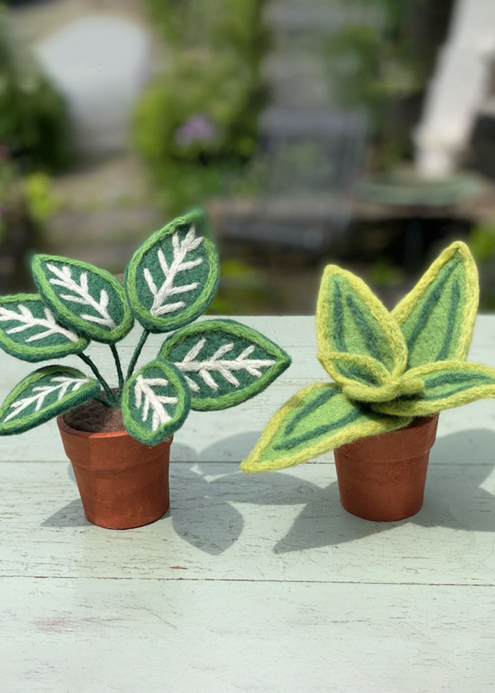 dZi Potted Felt Zebra Plant