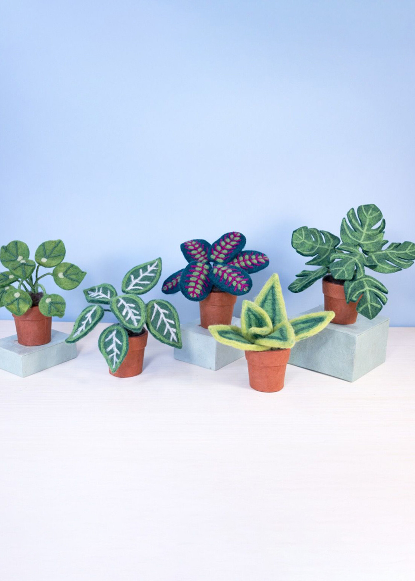 dZi Potted Felt Prayer Plant