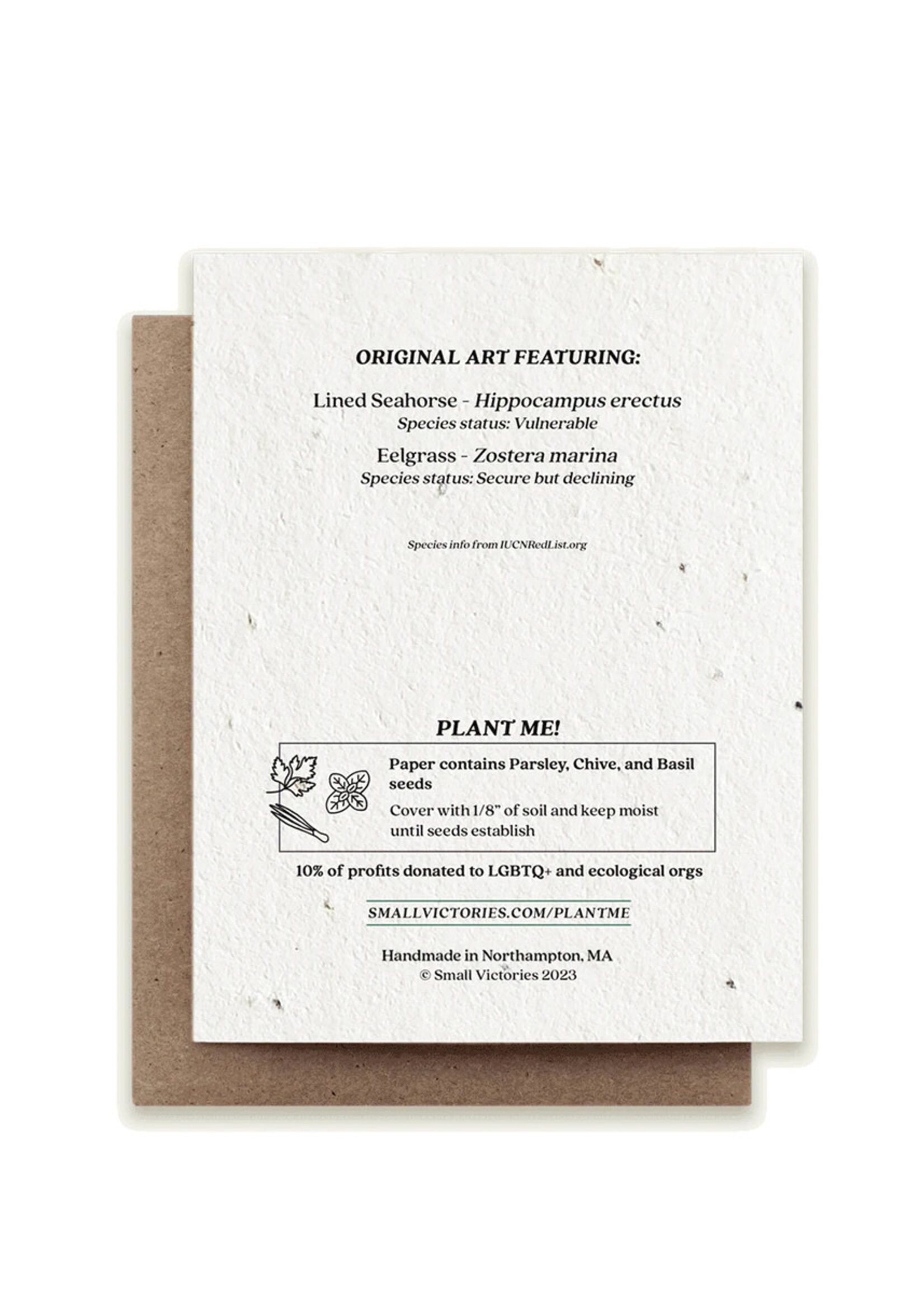 Small Victories Seahorse Father Plantable Card