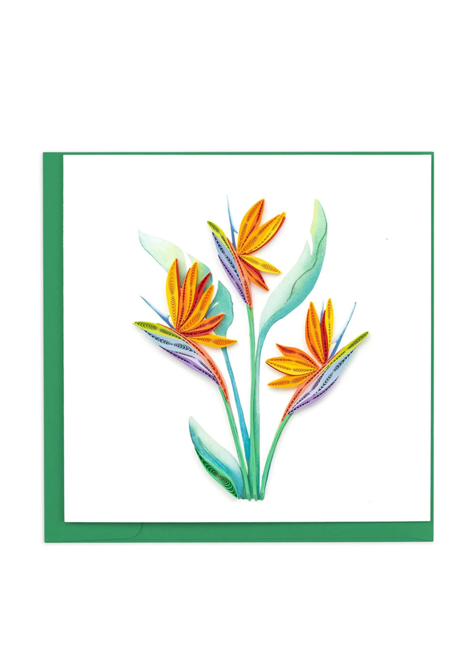 Quilling Cards Bird of Paradise Quilling Card