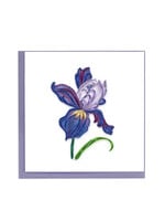 Quilling Cards Iris Bloom Quilling Card