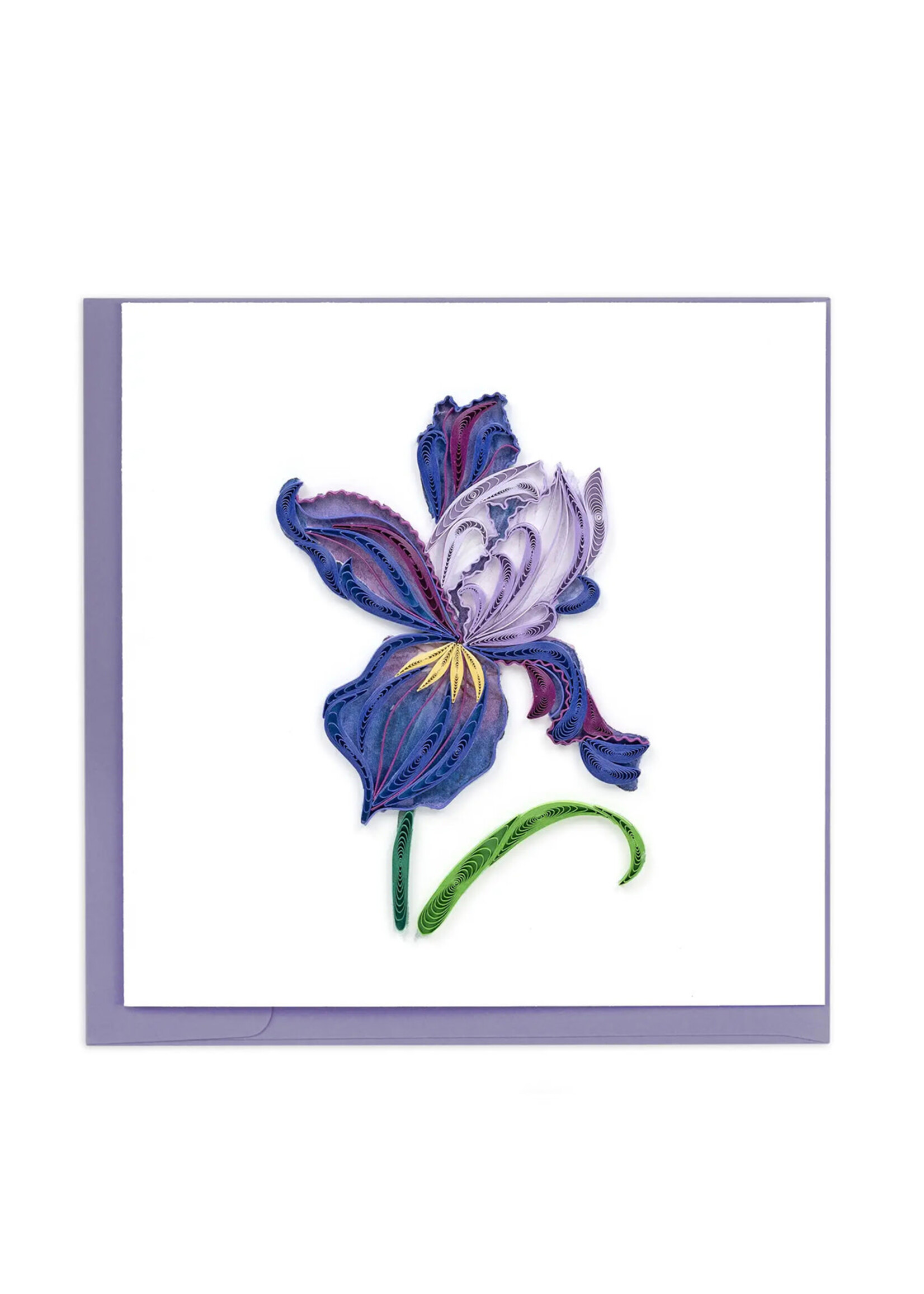 Quilling Cards Iris Bloom Quilling Card