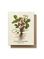 Small Victories Strawberry Plantable Card