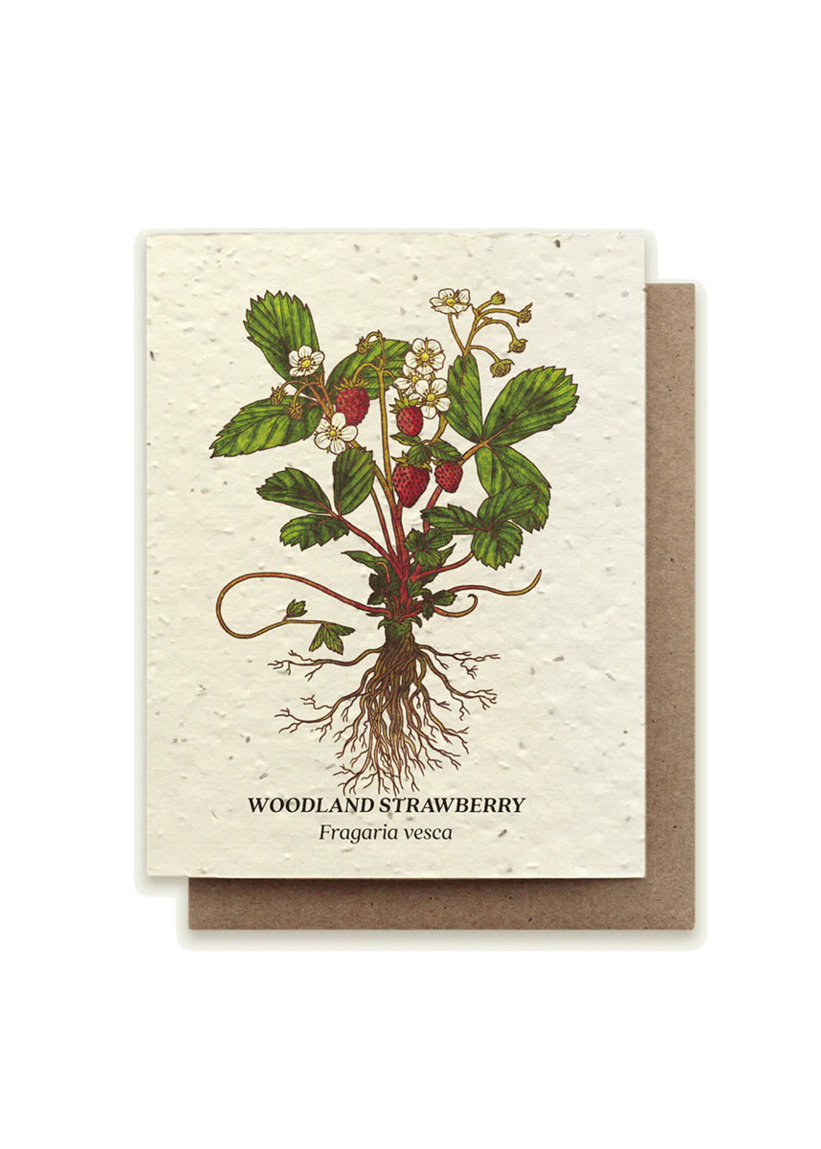 Small Victories Strawberry Plantable Card
