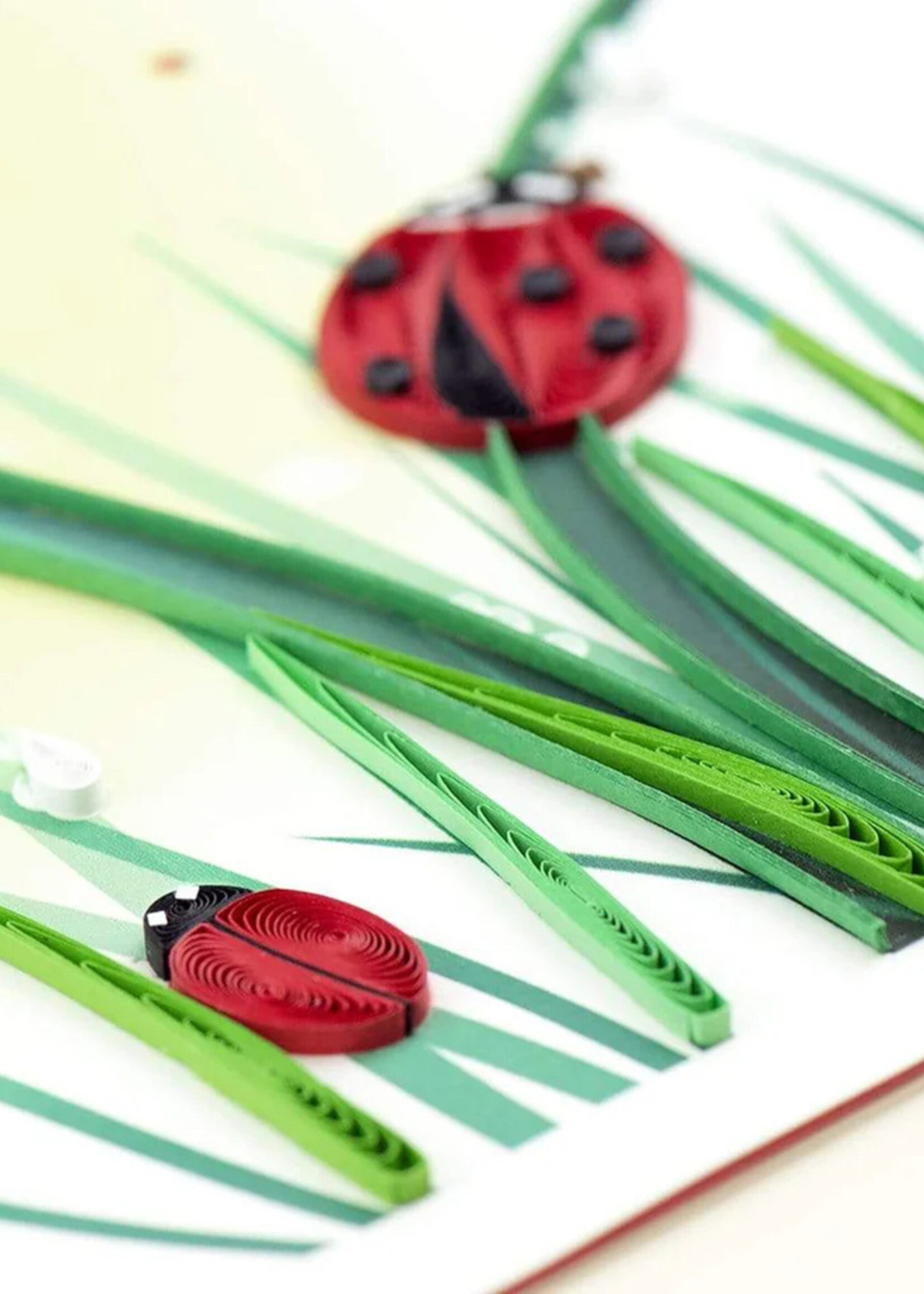 Quilling Cards Ladybug Quilling Card