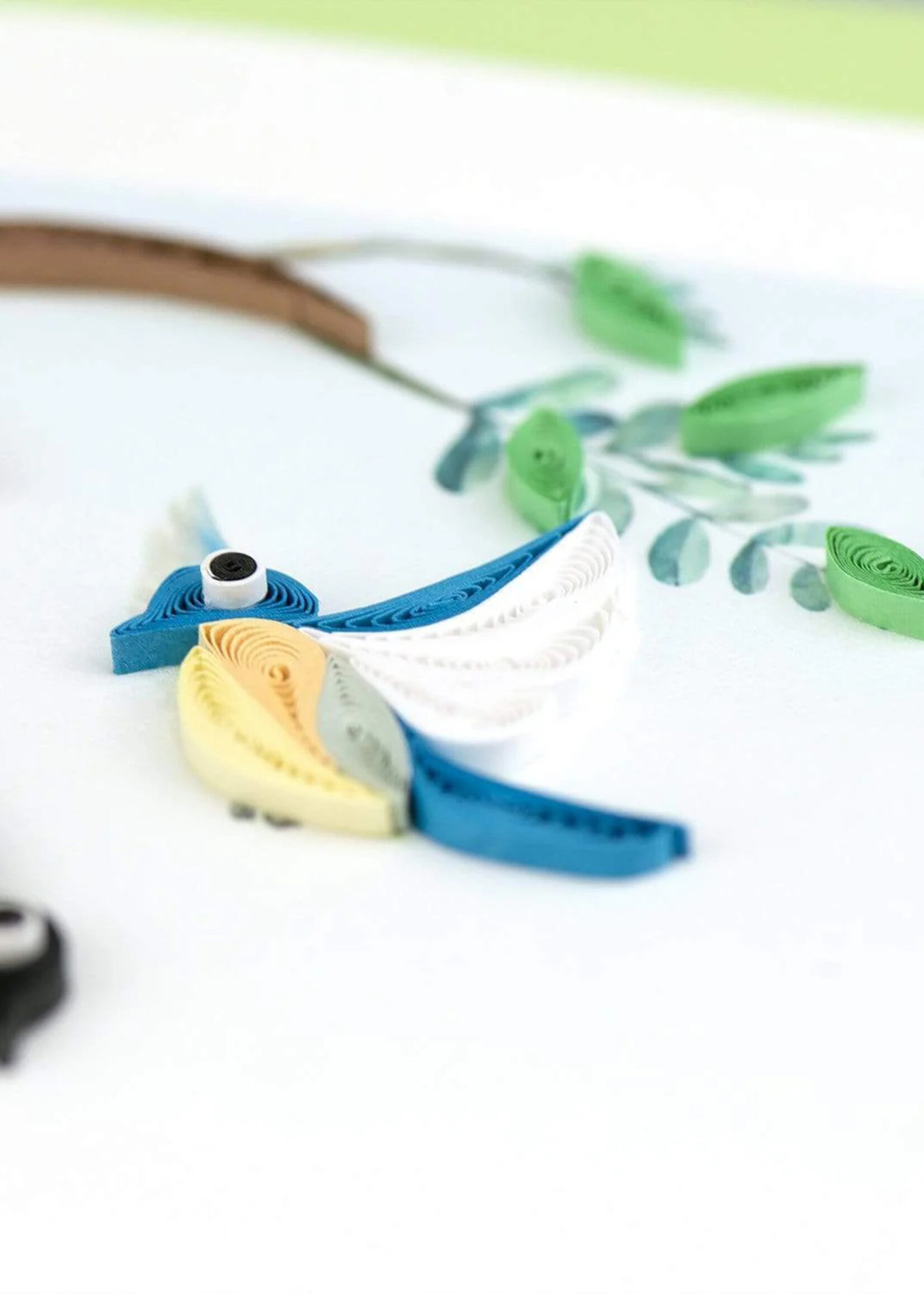 Quilling Cards Bird Feeder Quilling Card