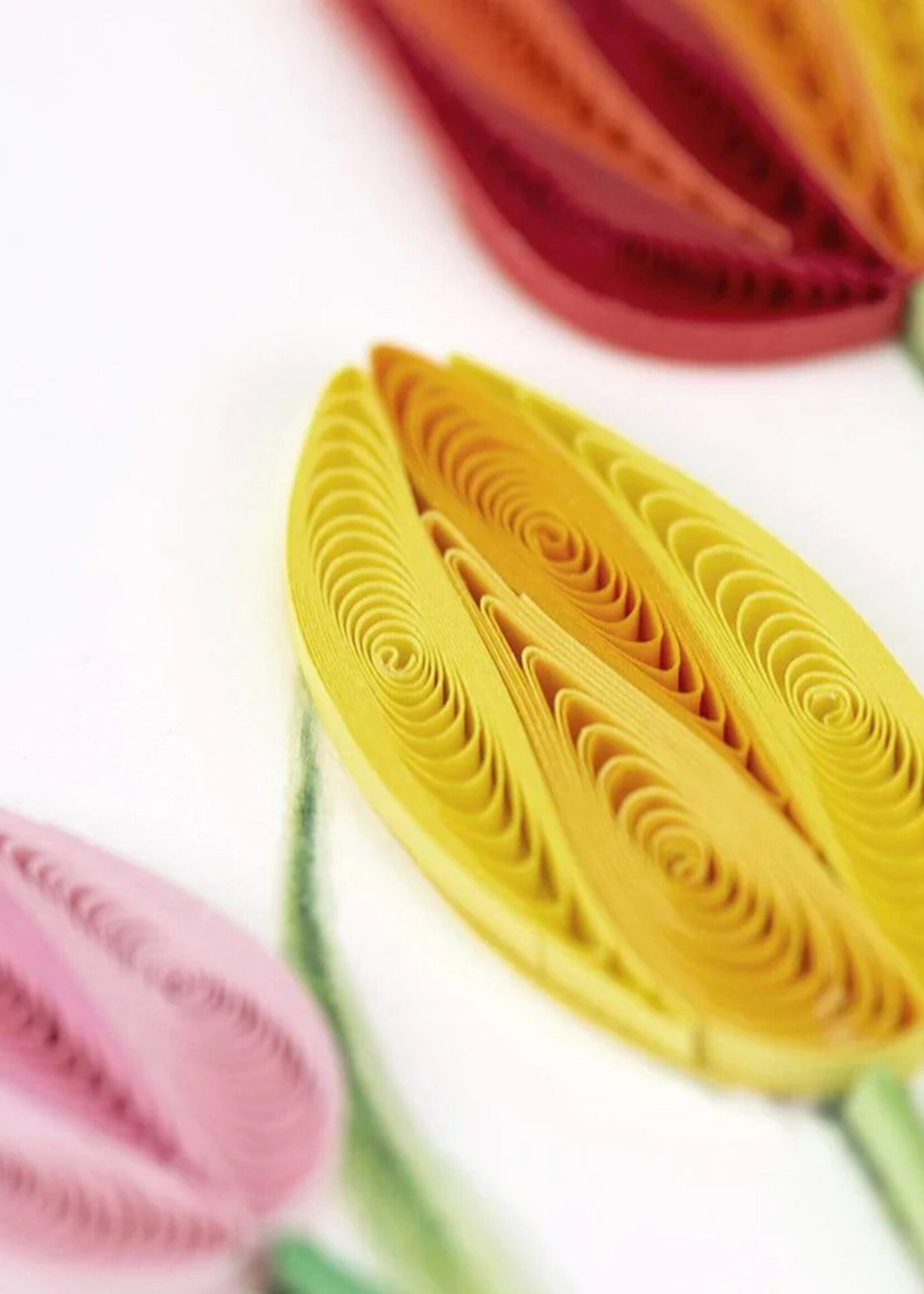Quilling Cards Colorful Tulips Quilling Card