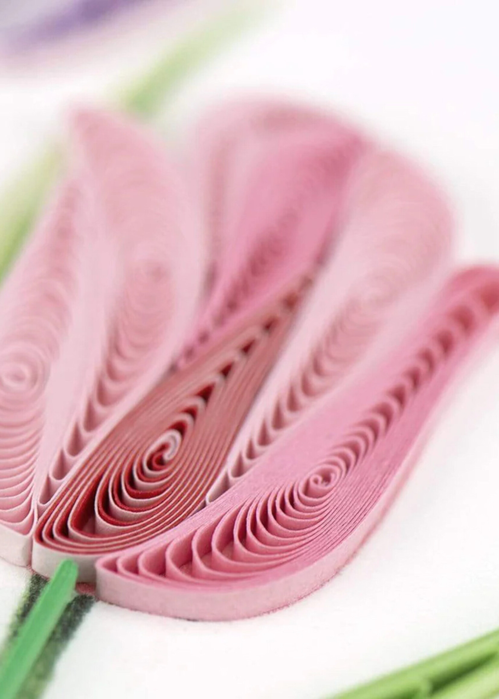 Quilling Cards Colorful Tulips Quilling Card