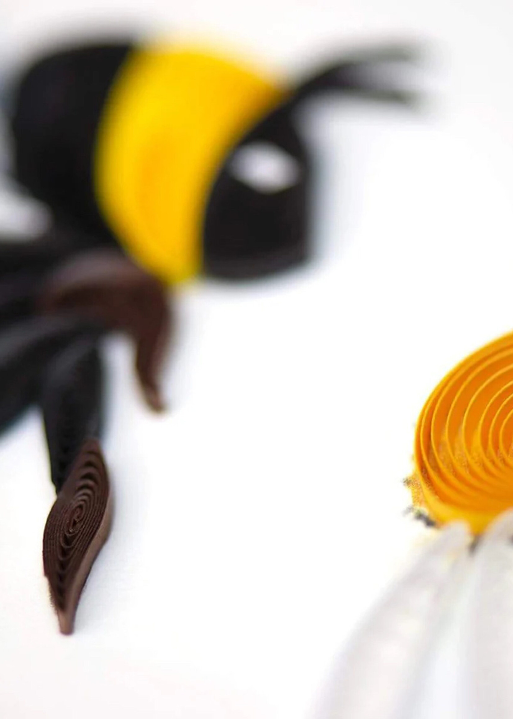 Quilling Cards Bumble Bee Quilling Card