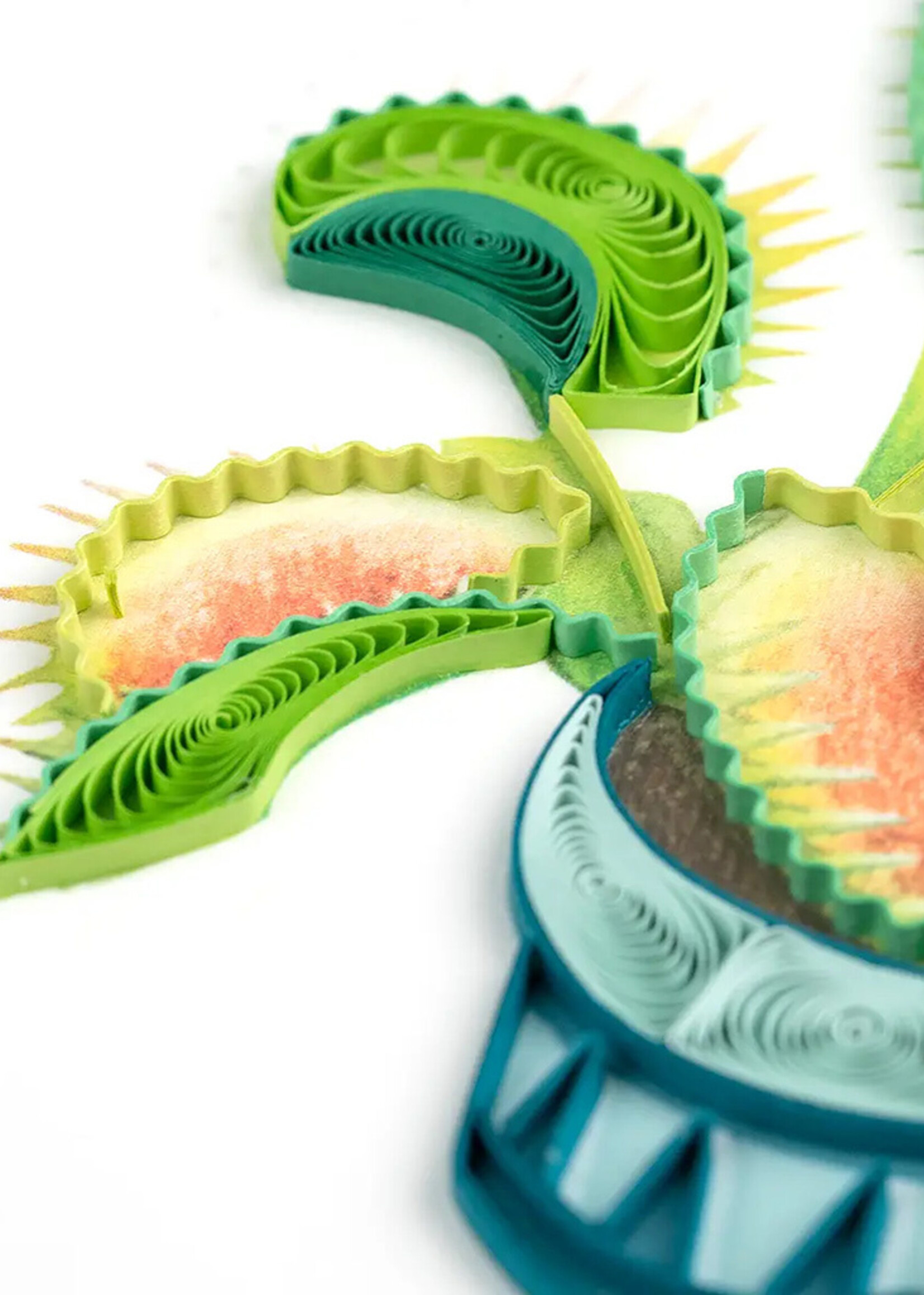 Quilling Cards Venus Flytrap Quilling Card