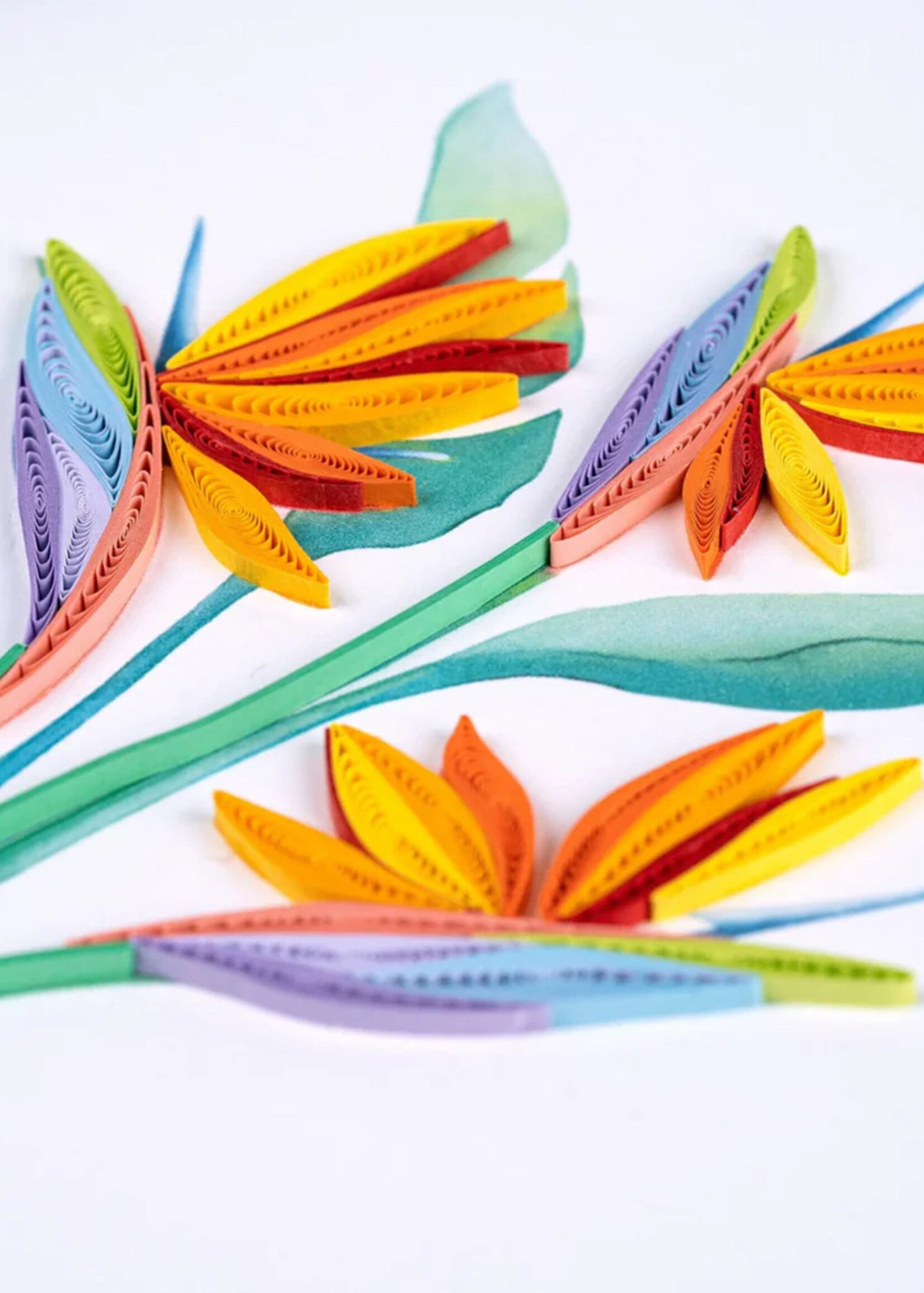 Quilling Cards Bird of Paradise Quilling Card