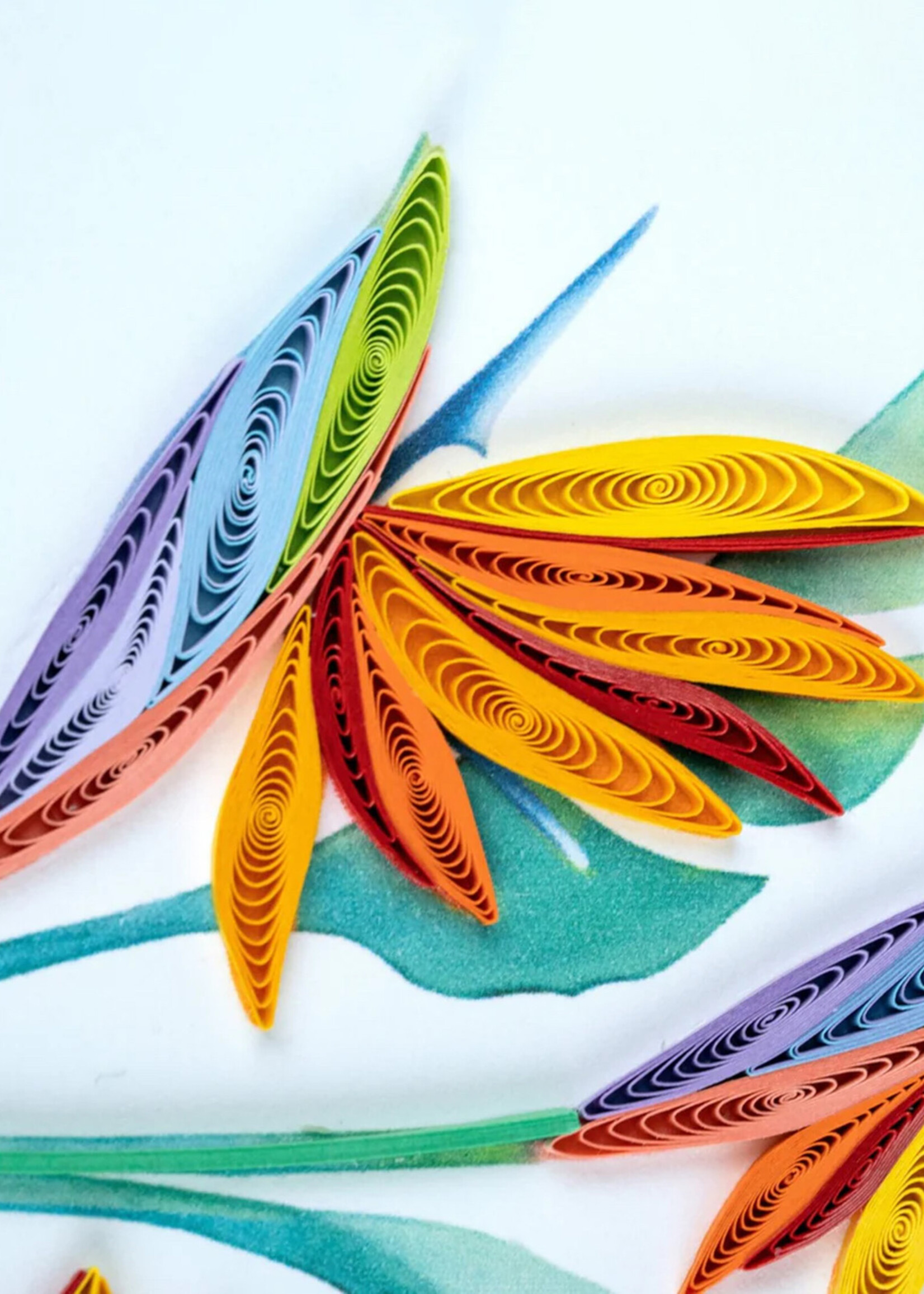 Quilling Cards Bird of Paradise Quilling Card