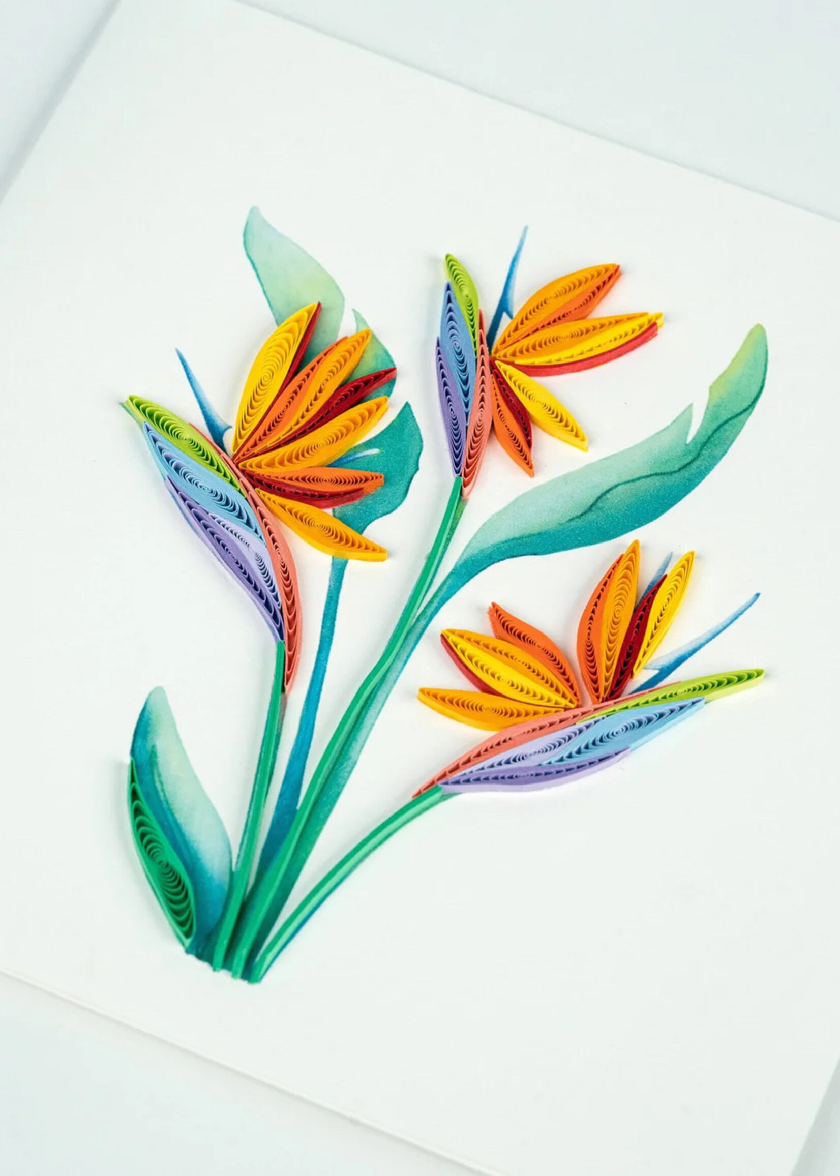 Quilling Cards Bird of Paradise Quilling Card
