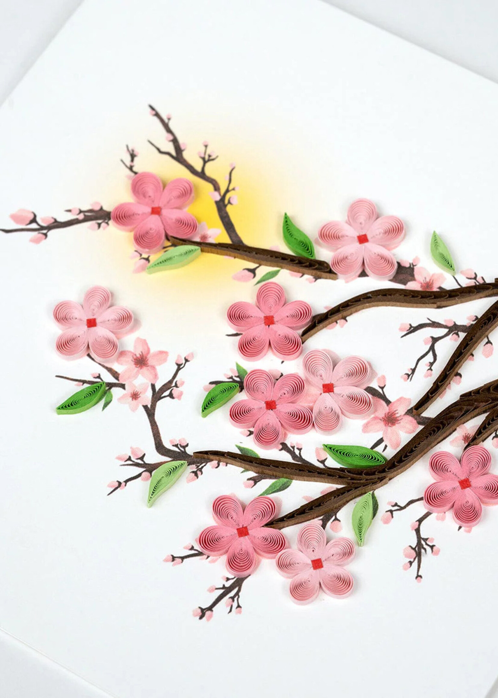Quilling Cards Cherry Blossoms Quilling Card