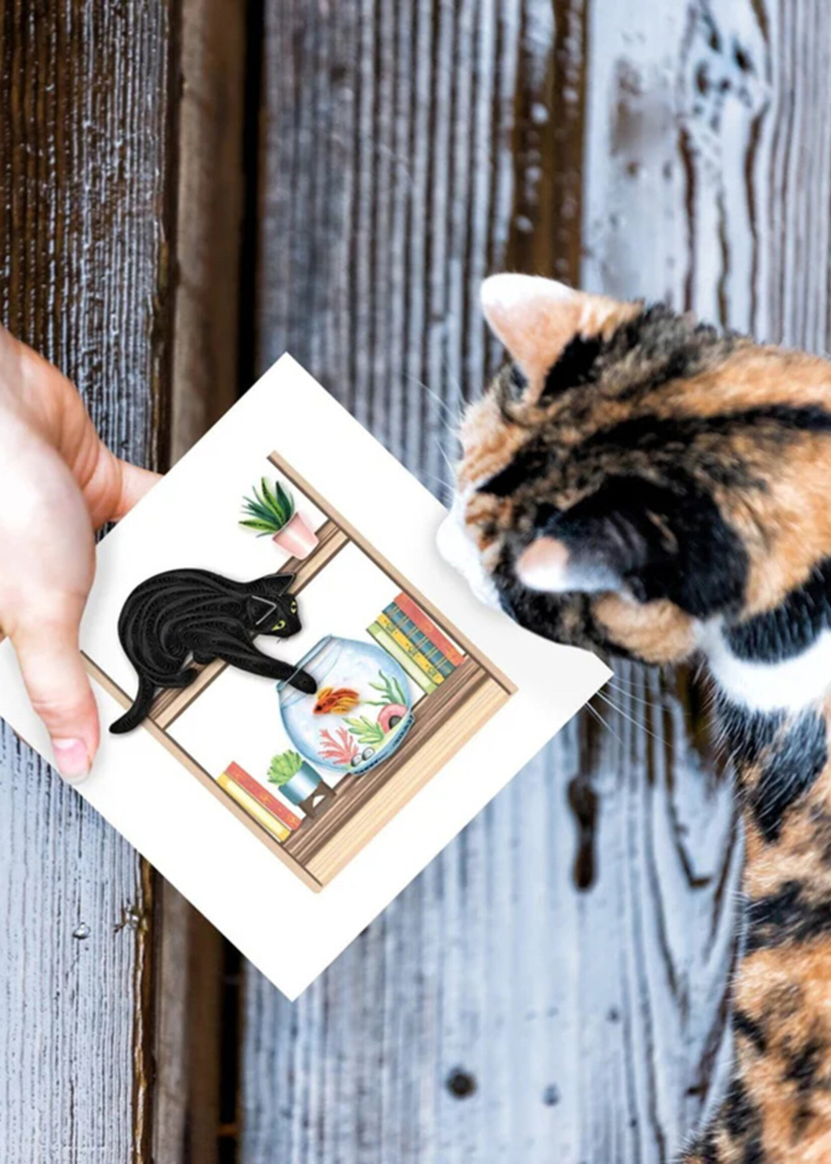 Quilling Cards Mischievous Cat Quilling Card