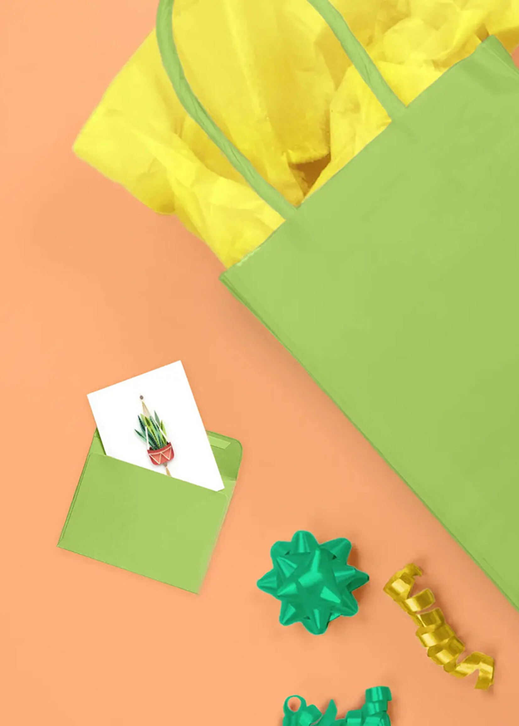 Quilling Cards Mini Snake Plant Macrame Hanger Quilling Card