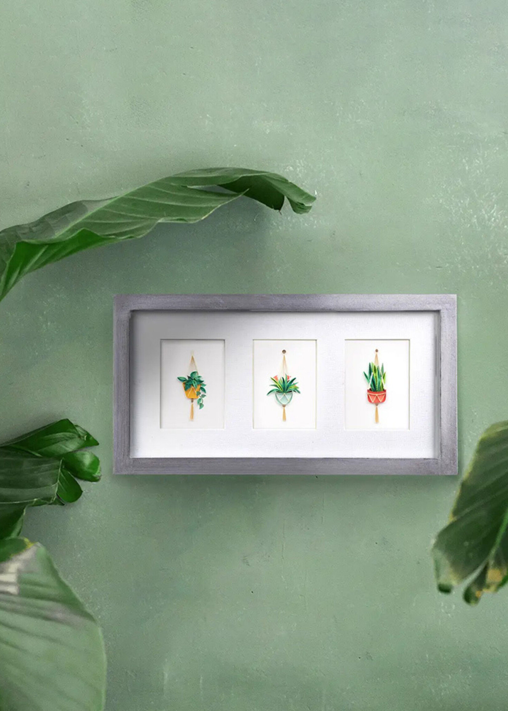 Quilling Cards Mini Snake Plant Macrame Hanger Quilling Card